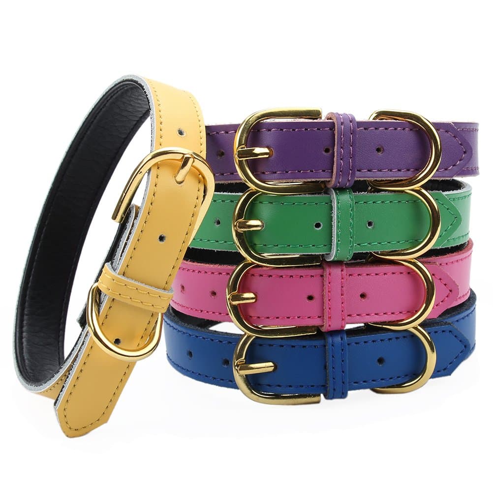 Aolove Basic Classic Padded Leather Pet Collars for Cats Puppy Small Medium Dogs