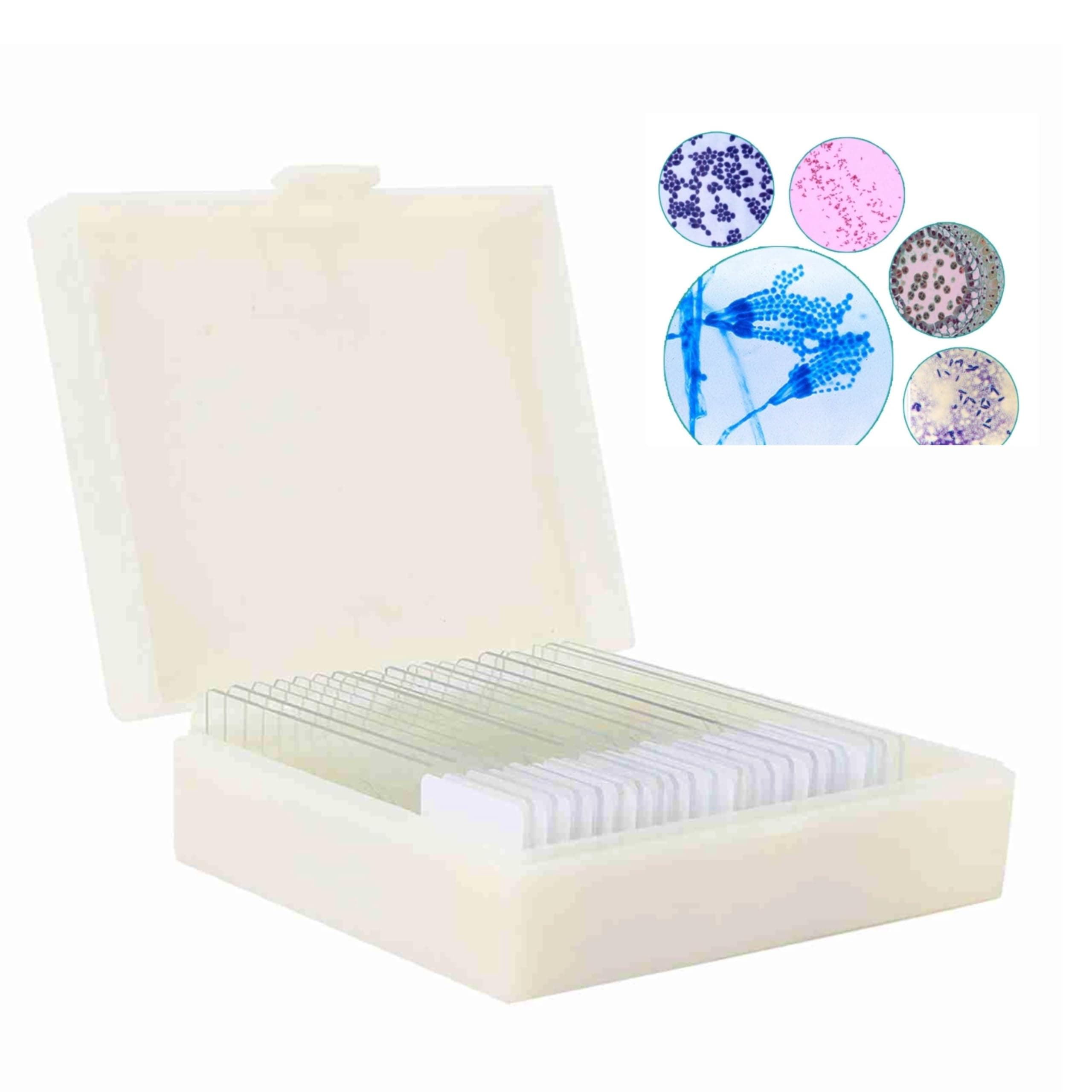 20pcs Microscope Slides Biology And Pathology Prepared Microbiological Bacterial Specimens Microscope Slide Set with Plastic Box