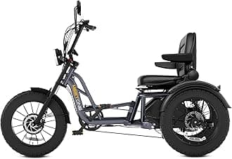 Tour 2400W Dual Motor Electric Tricycle for Adults, 48V 30AH Dual Battery Fat Tire Electric Trike, 25MPH 130Miles Full Suspension AWD Etrike (with an Extra Battery & Upgraded Folding Seat)