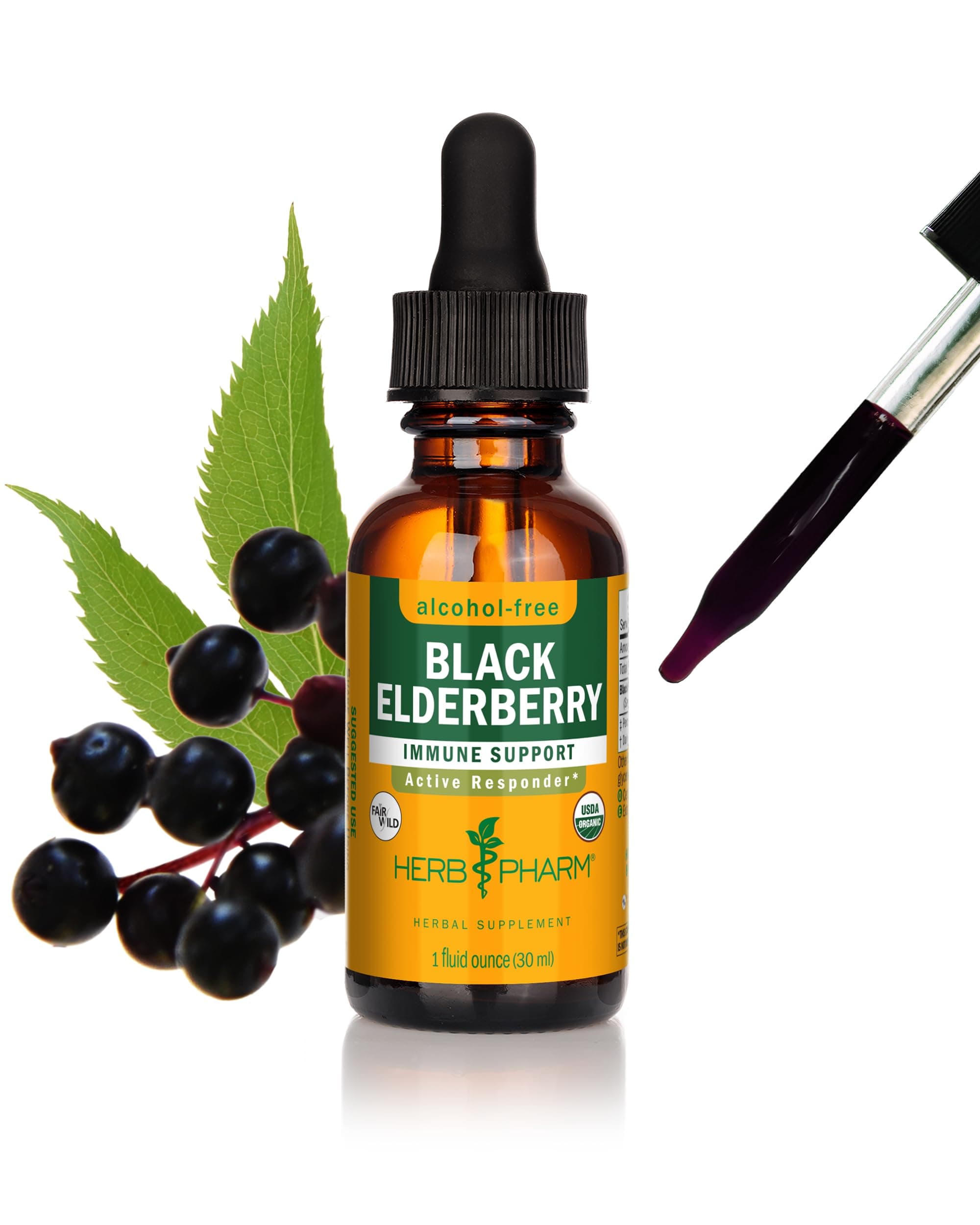 Certified Organic Black Elderberry Liquid Extract for Immune System Support, Alcohol-Free Glycerite, 1 Ounce