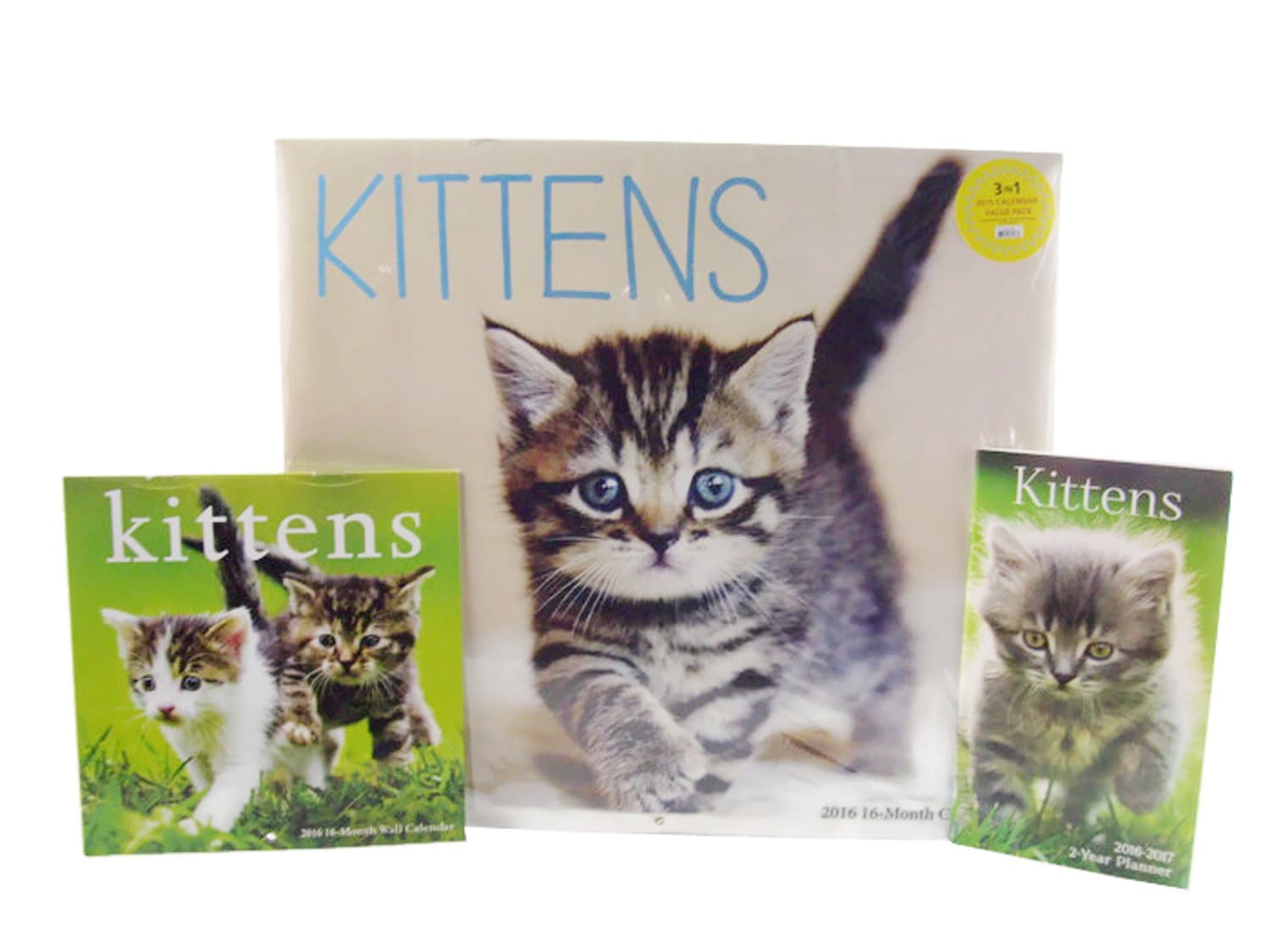 2016 Cute Kittens 16 Month Calendar/Planner Gift Set (Pack)