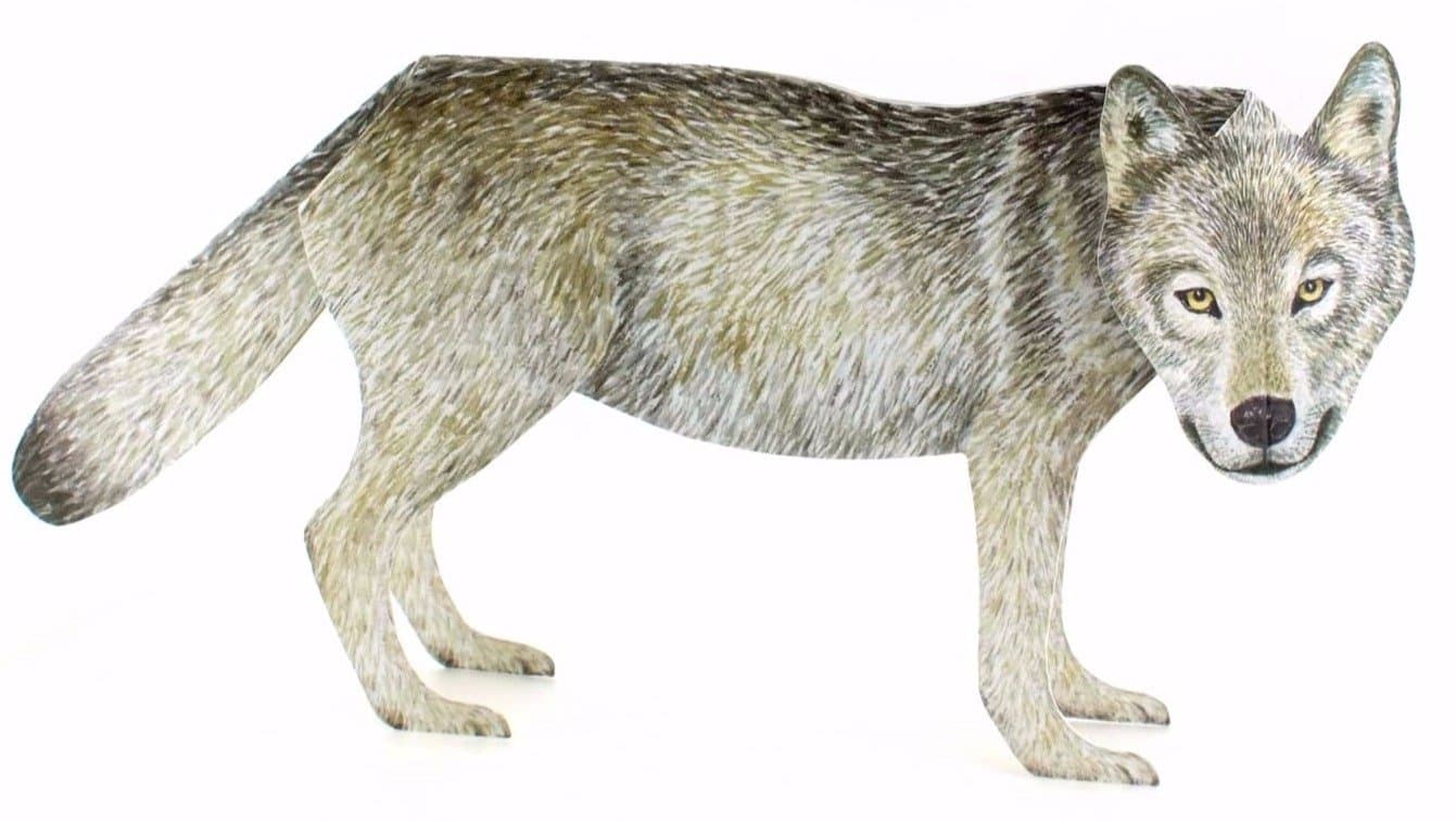 3D-Pop-Up card "PROUD WOLF", a folded 3D-greeting card of a realistic, lifelike wild wolf