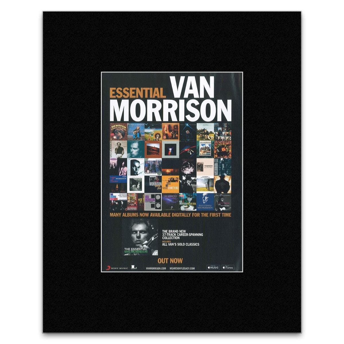 Van Morrison - The Essencial Mini Poster - 40.5x30.5cm
