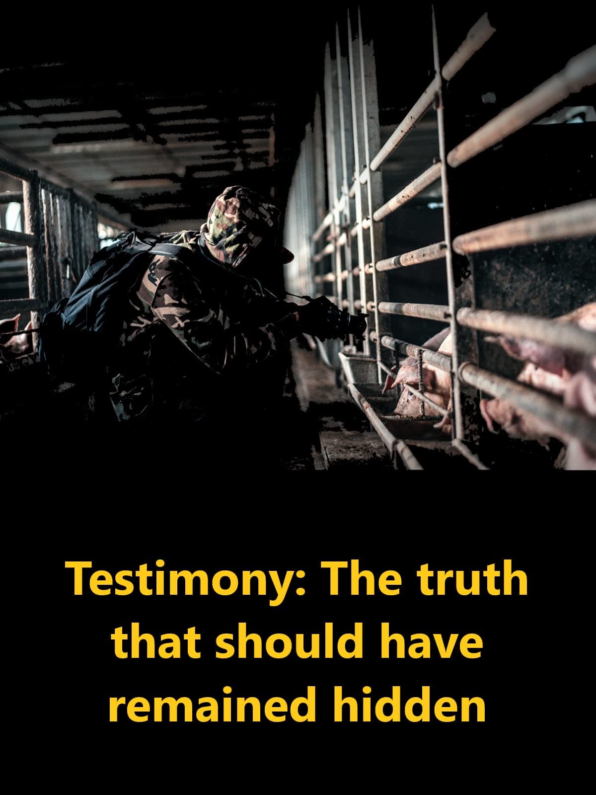 Testimony: The truth that should have remained hidden