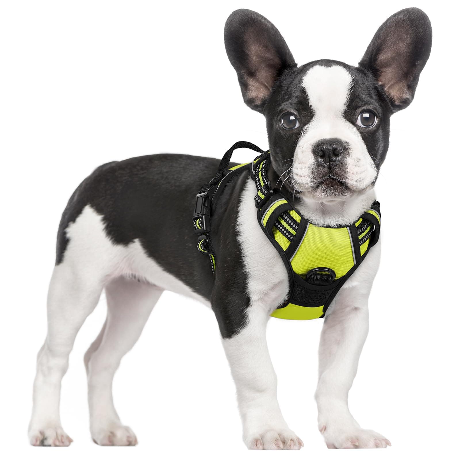 rabbitgoo Dog Harness No Pull with 2 Leash Clips, Adjustable Soft Padded, Reflective Oxford No Choke Pet Vest with Easy Control Handle for Small Dogs, Wild Lime,S