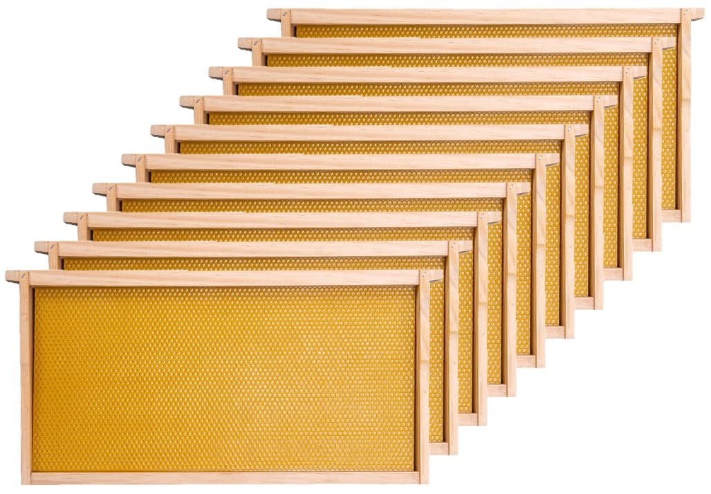 Honey Lake Deep Beehive Frames and Foundations Kit, 10 Pack Brood Wooden Frames and Natural Beeswax Dipped Plastic Foundation for Beekeeping