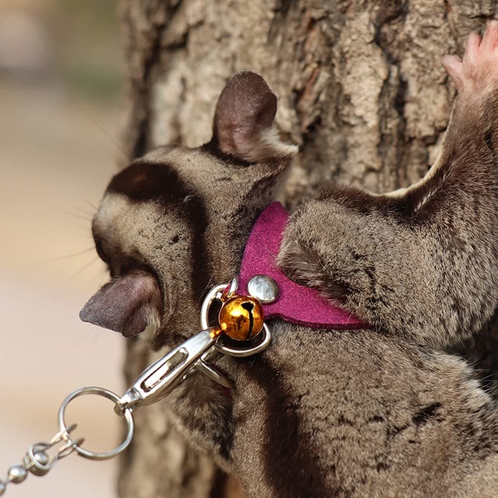 HAICHEN TEC 3 Pack Sugar Glider Harness and Leash Set - Adjustable Traction Rope Strap Anti-Biting Chain Rope, Small Animal Training Walking Vest Leash for Sugar Glider Squirrel Hamster Rat Birds Reptile (Purple).