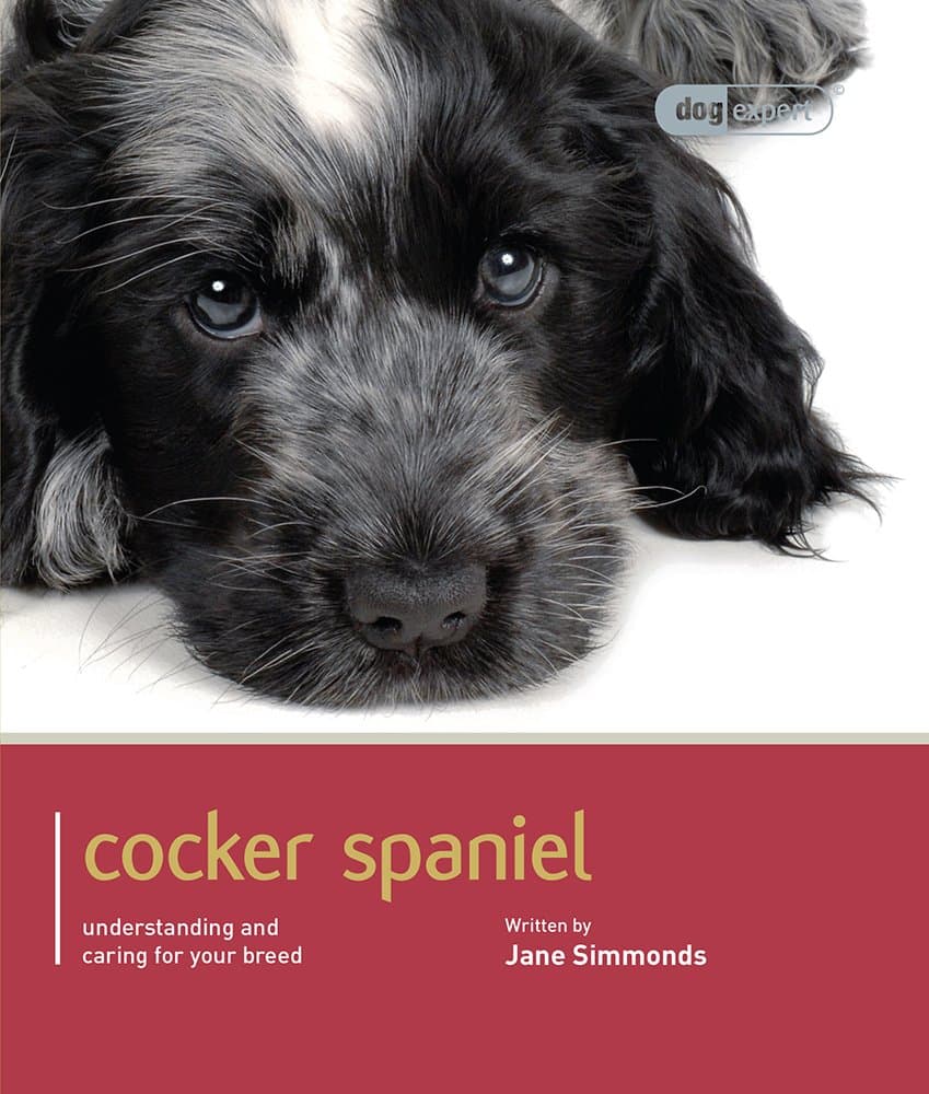 Cocker Spaniel: Cocker Spaniel - Dog Expert