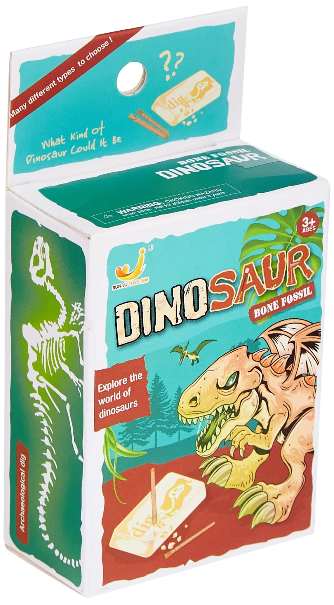 Dinosaur Bone Fossil