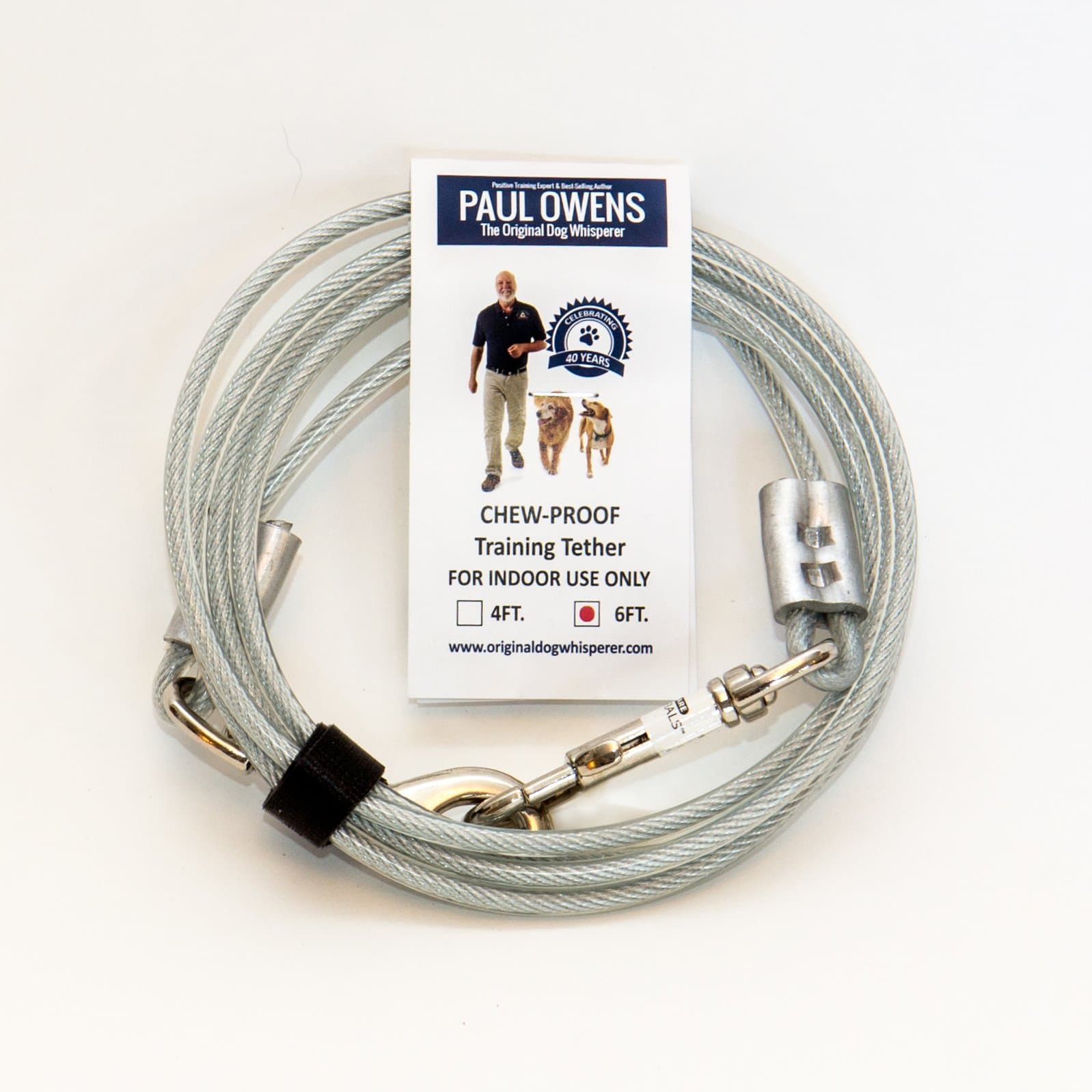 6 Ft. Chew-Proof Training Tether for Dogs & Puppies