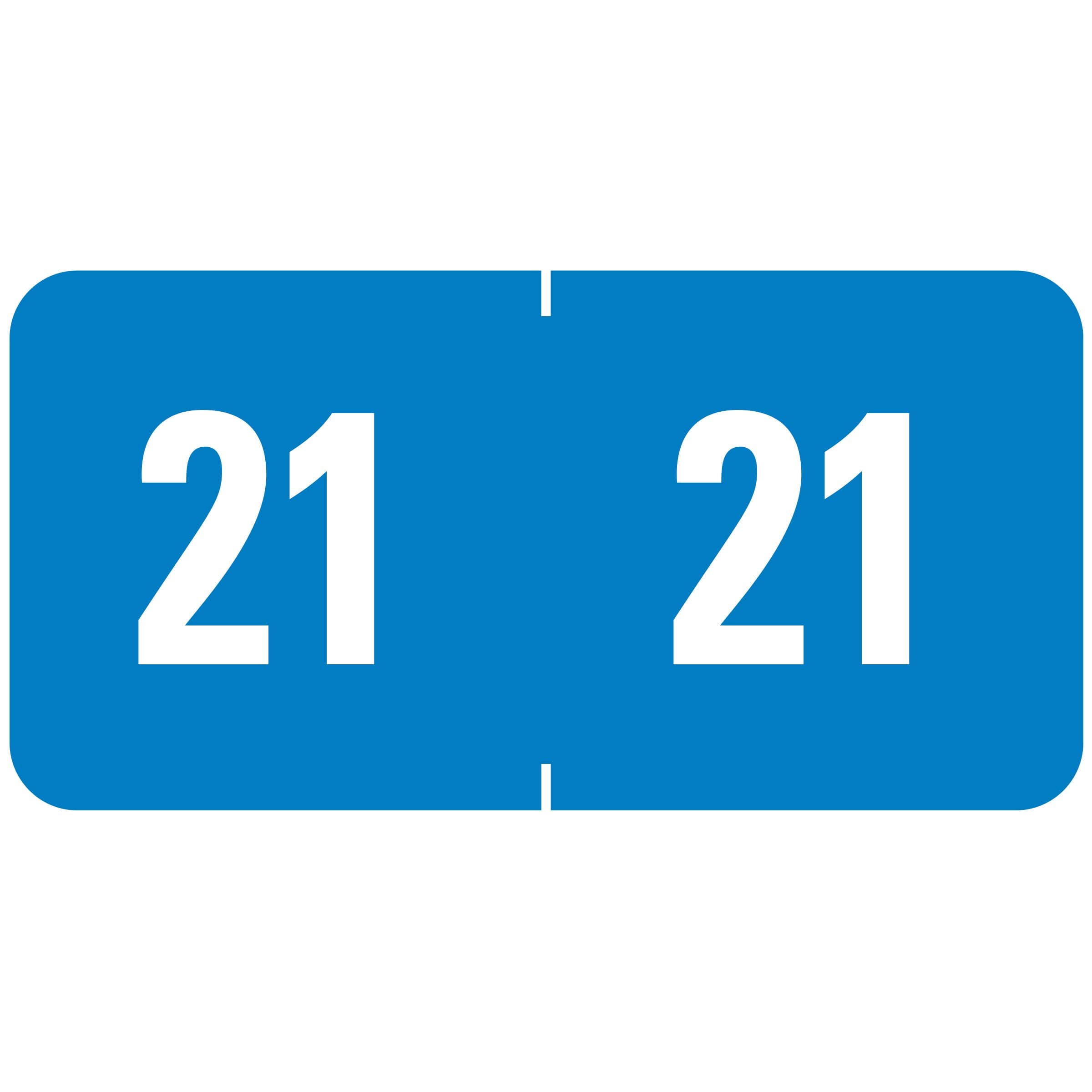 Smead ETS Color-Coded Year Label, 2021, Label Sheet, Light Blue, 250 Per Pack (67921)