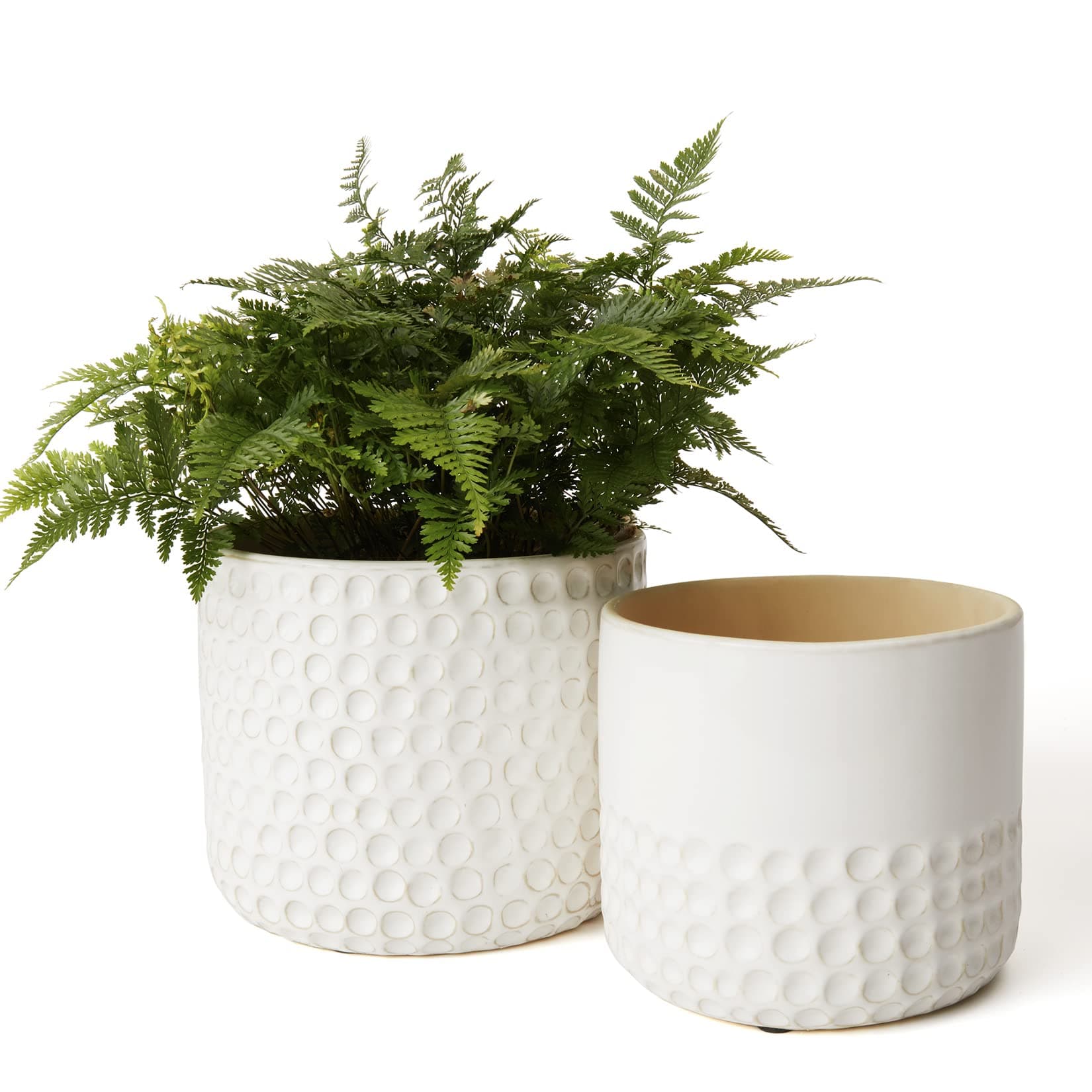 Ceramic Plant Pots
