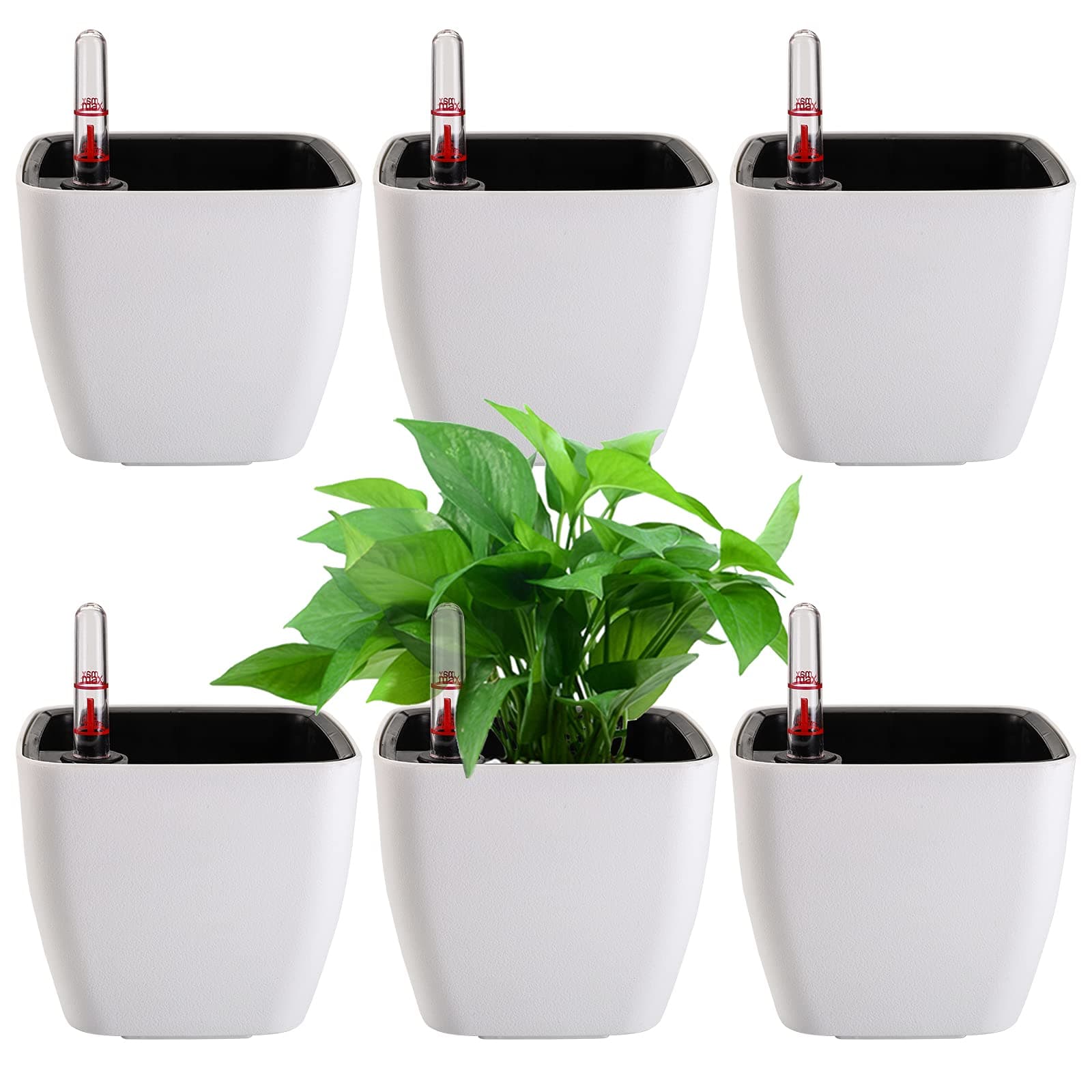 6 Pack Self Watering Planter with Water Level Indicator, 5 Inch Plastic Plant Flower Pots Nested Container for Indoor Plants, Herbs, Aloe, Outdoor Gardening