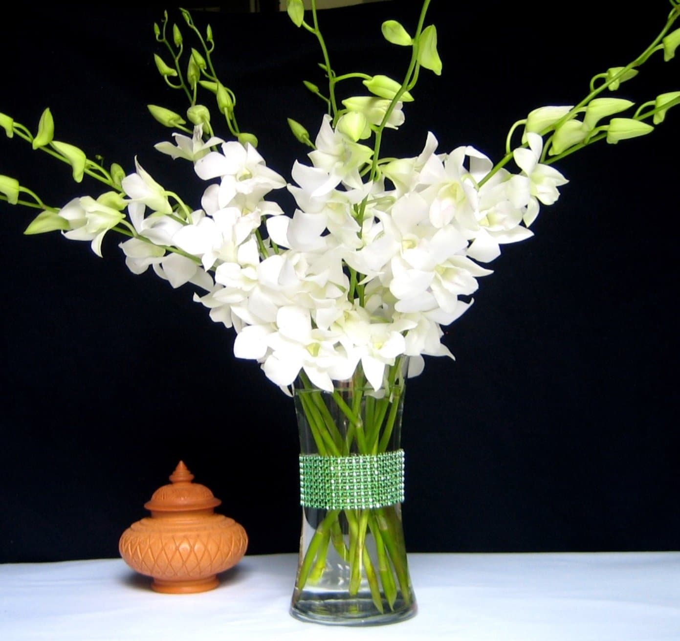 Fresh Flowers White Dendrobium Orchids with Vase