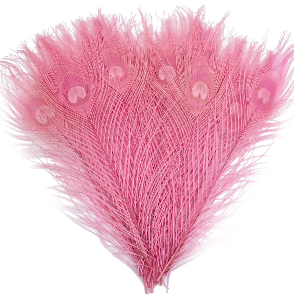 Peacock Tail Feathers Bleached Dyeing Peacock Feathers for DIY Craft Home Party Decoration 9-12inch/25-30cm (Light Pink)