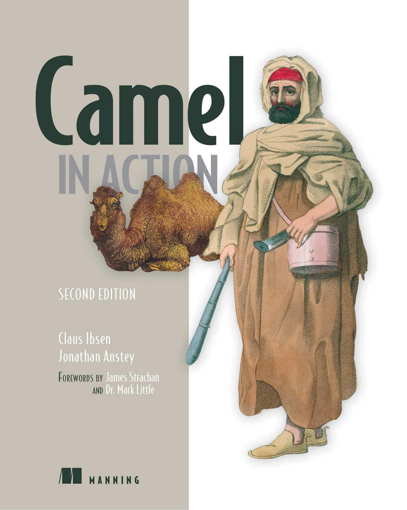 Manning Publications Camel in Action, Second Edition