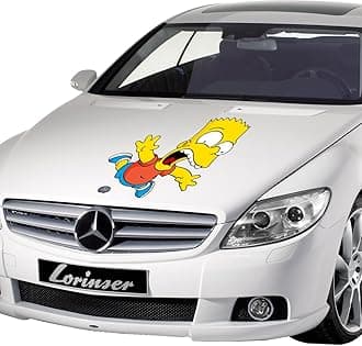 Vinyl Car Decal Custom Stickers Print/Picture, Photo Art Sticker/Personalised Printable Glossy, Matt Tuning Decals Window, Bumper, Door (130" x 130")