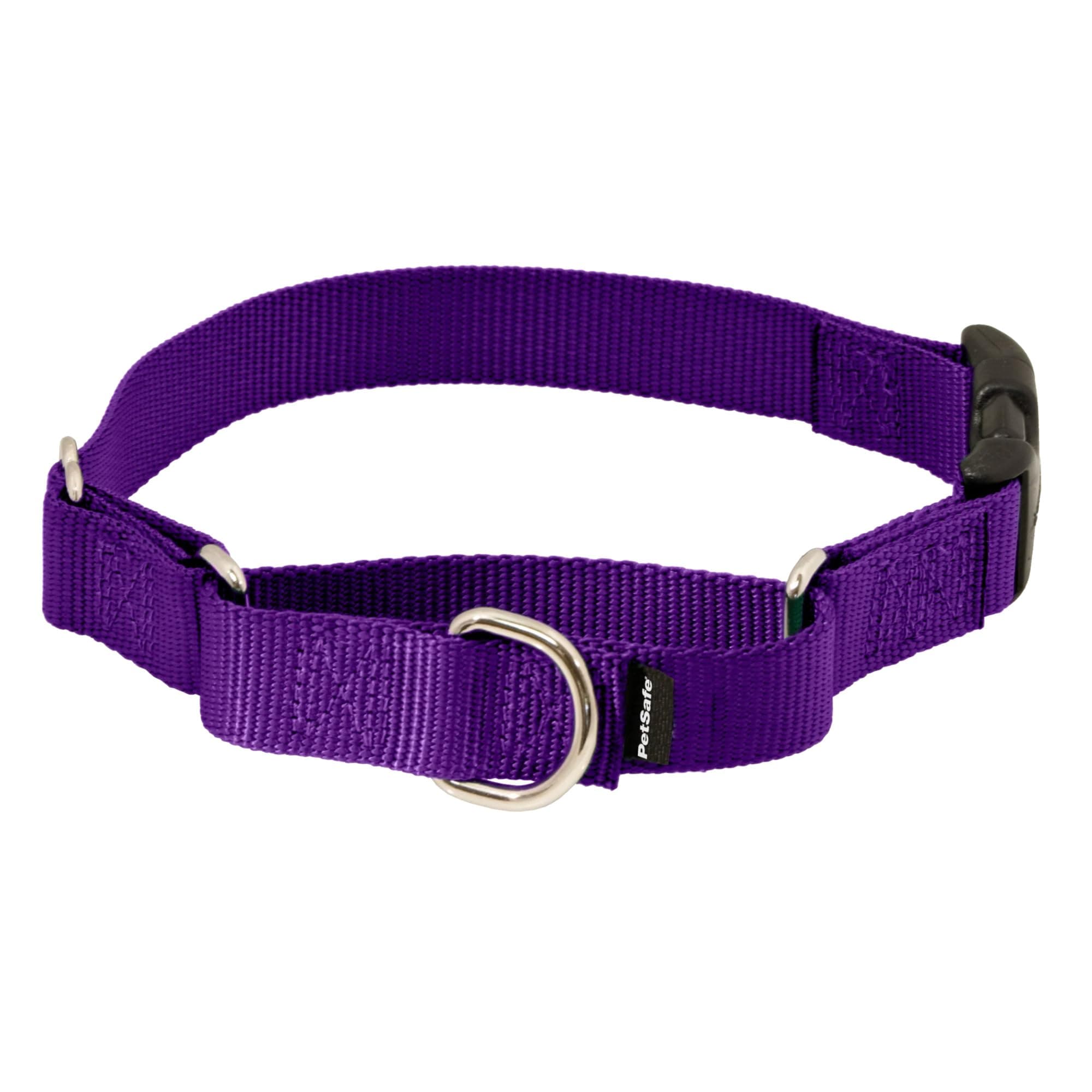 Adjustable Martingale Collar - Improves Leash Manners - Escape Prevention - Gentle Behavior Training - Durable Nylon - Alternative to Choke Collar - Small 3/4" - Deep Purple