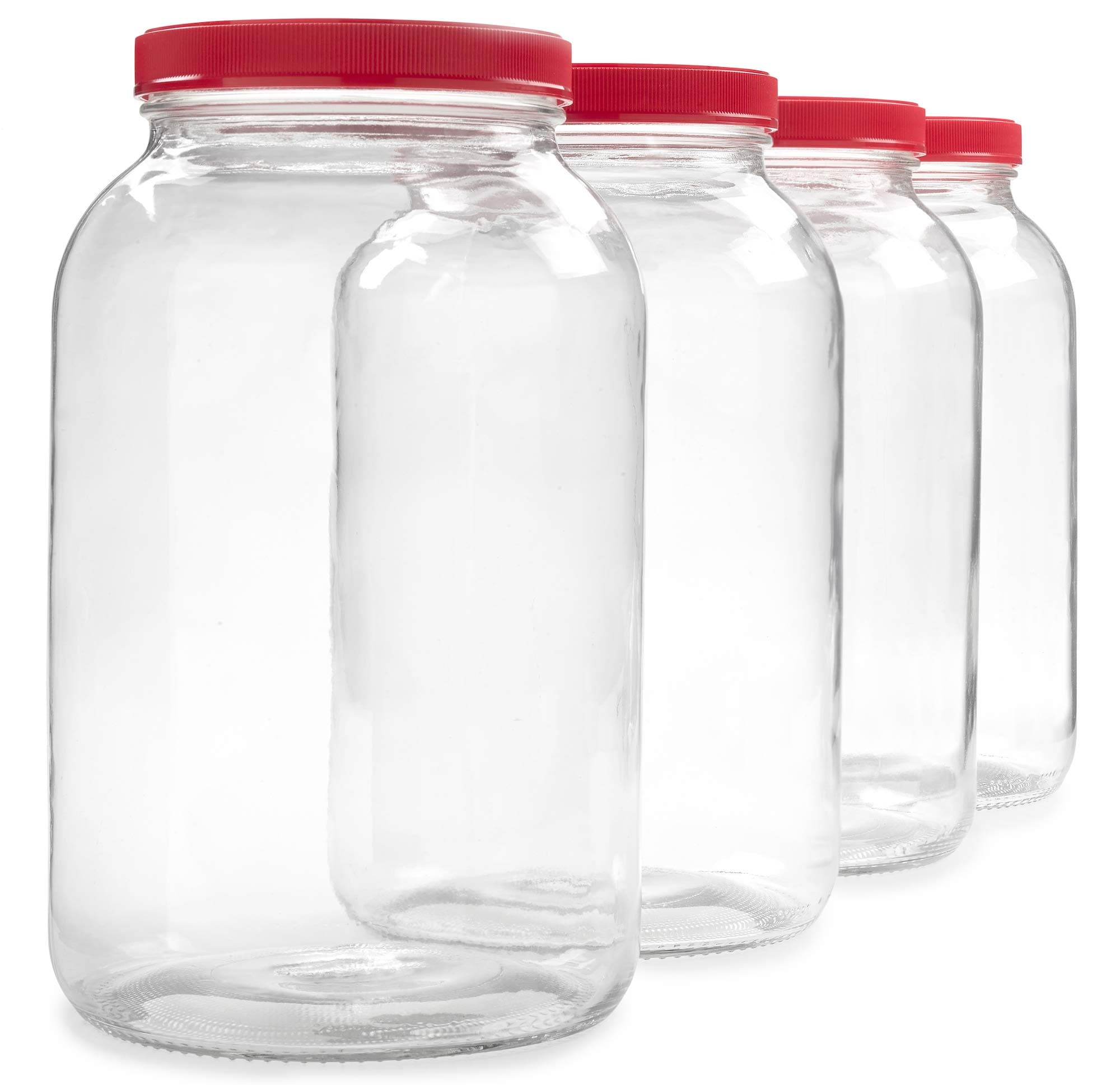 Vibz 1 Gallon Glass Jar (4 Pack)