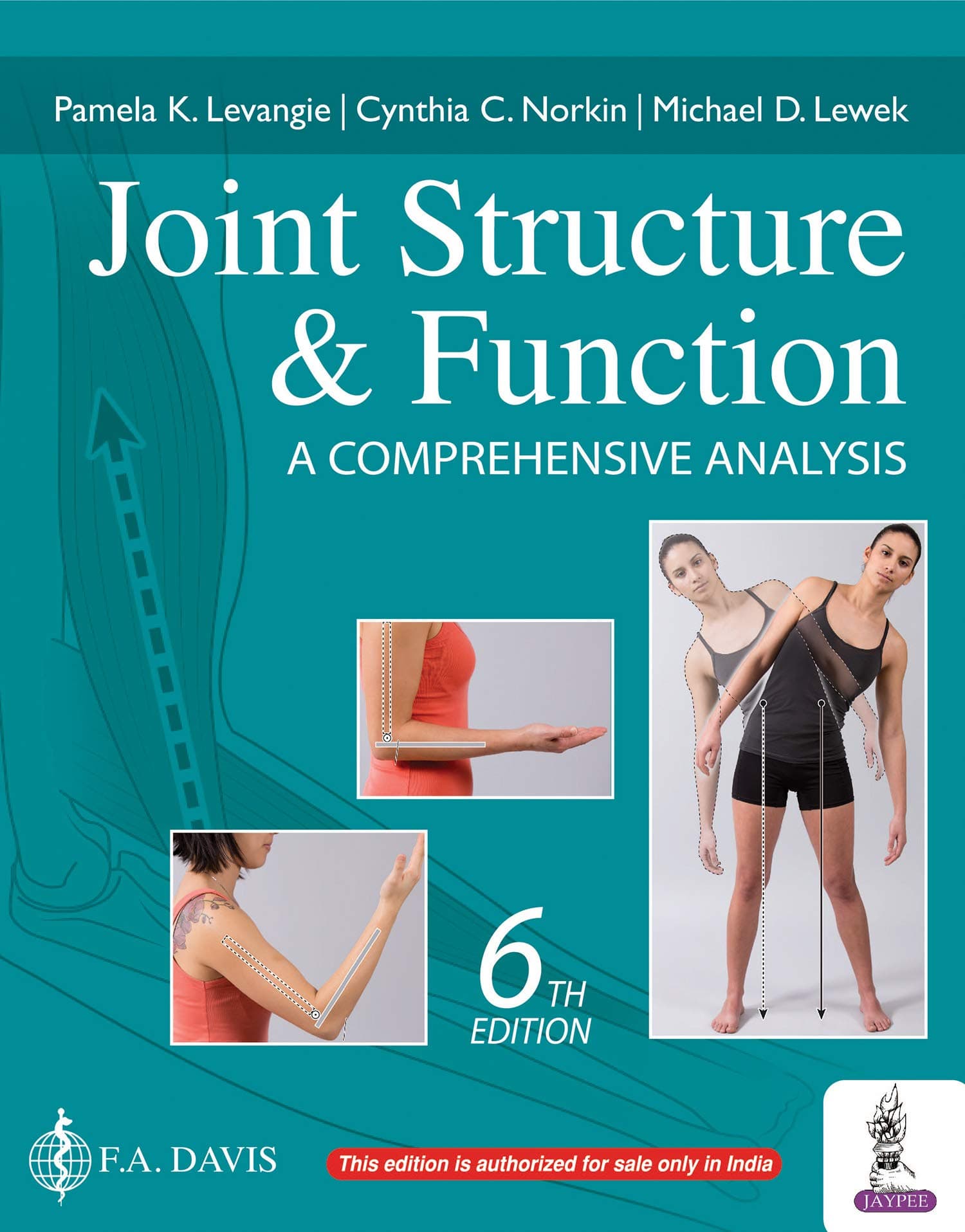 JOINT STRUCTURE & FUNCTION A COMPREHENSIVE ANALYSIS