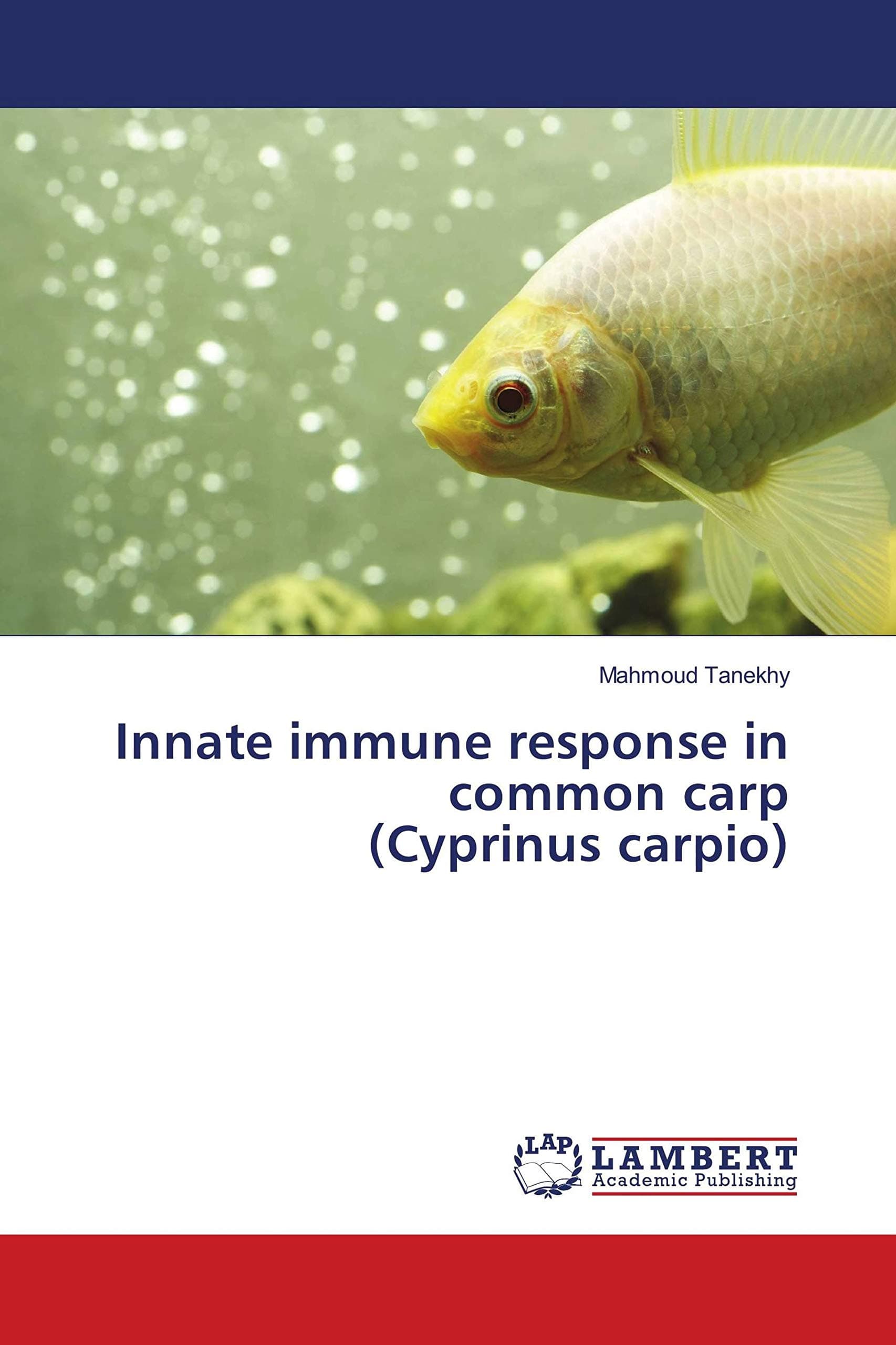 Innate immune response in common carp (Cyprinus carpio)