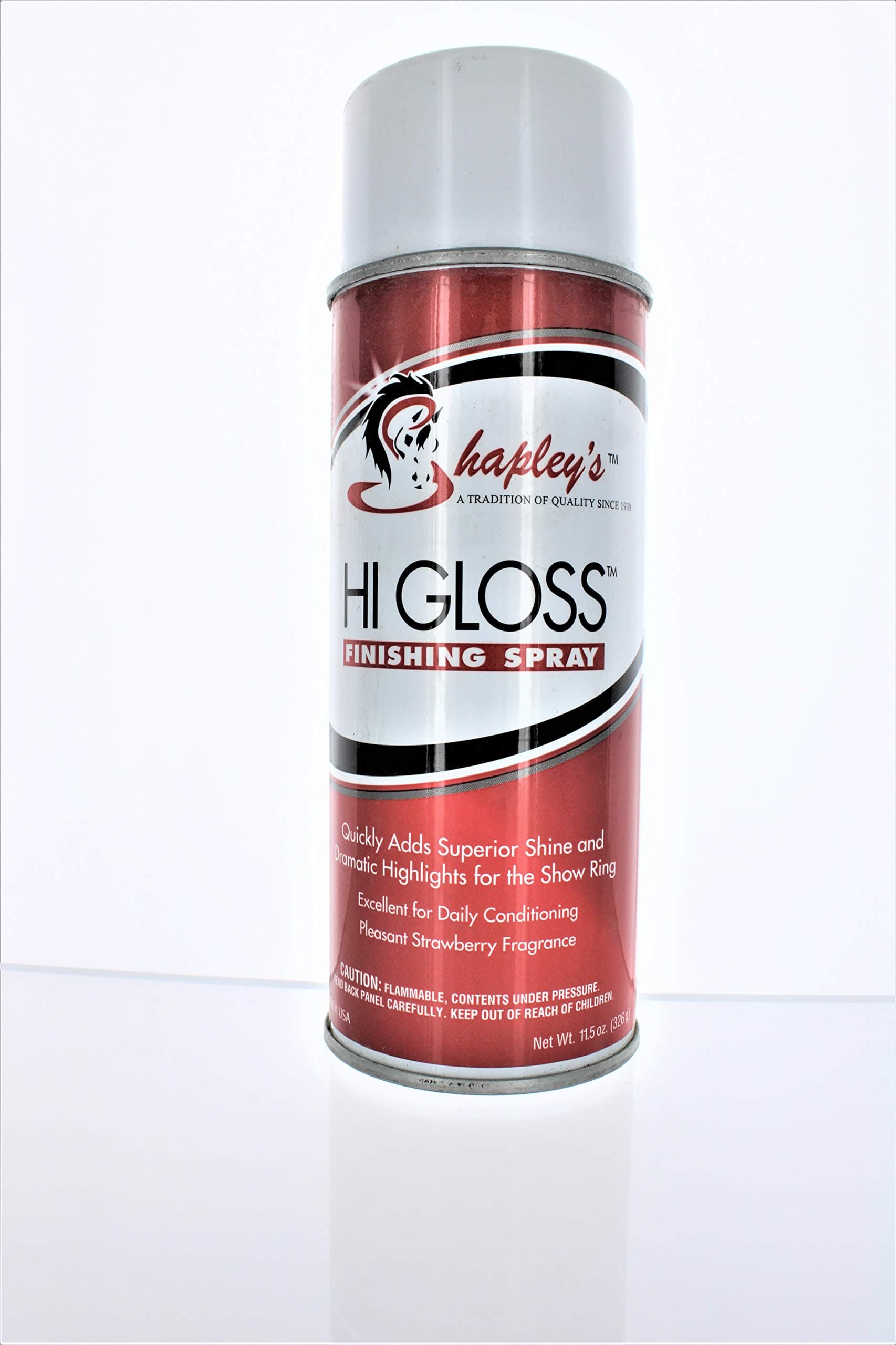 Hi Gloss Finishing Spray