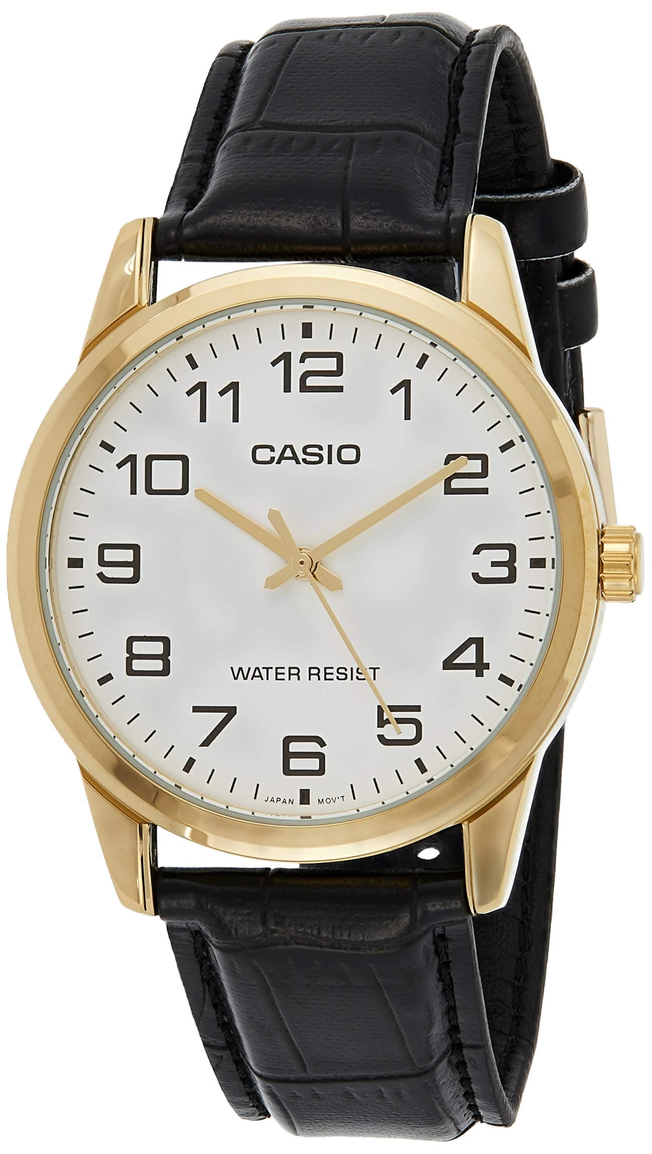 CasioWatch