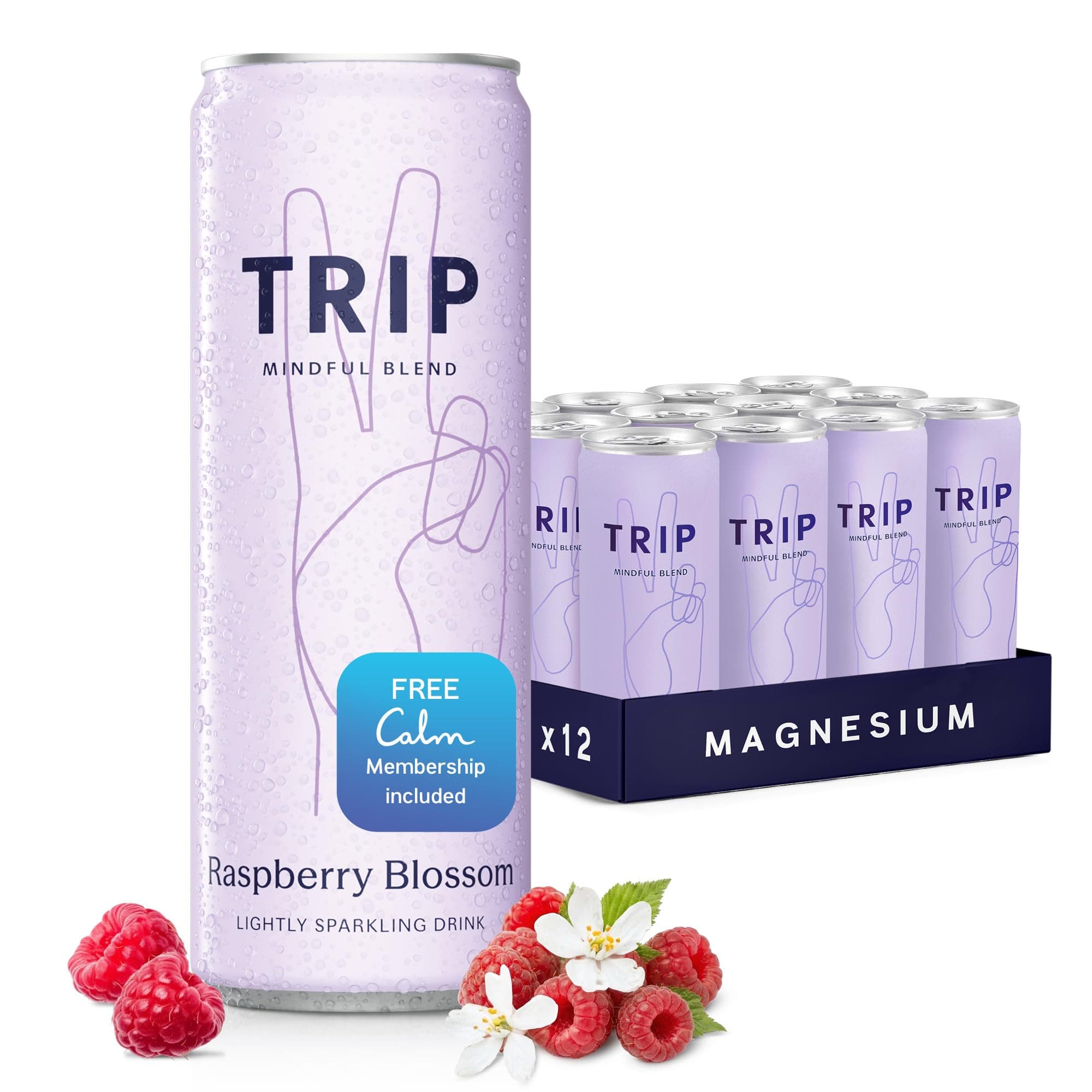 Mindful Blend, Lightly Sparkling Adaptogen Seltzer, Mocktail w/ 120mg Magnesium Citrate with Ashwagandha, Lions Mane & L Theanine, No Added Sugar, Vegan, Raspberry Orange Blossom, 12 Oz, 12Pk