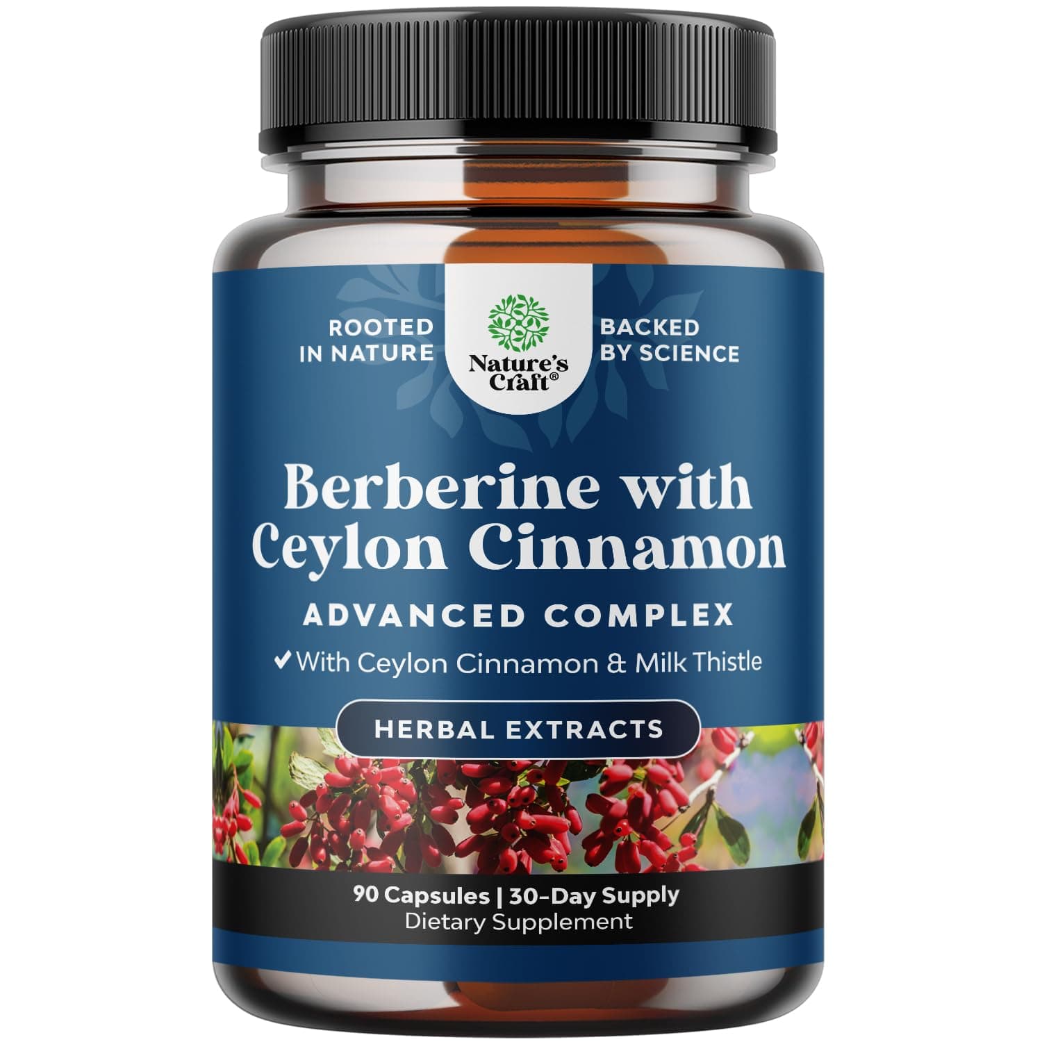 Balancing Berberine Plus 1200mg Per Serving Complex - Antioxidant Berberine with Ceylon Cinnamon Capsules Plus Silymarin Milk Thistle Extract - Active PK for Heart Health Support - 90 Count