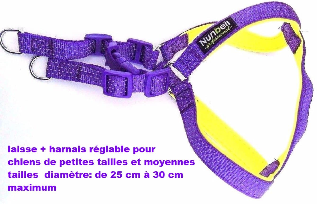 Lead and Harness Set for Small and Medium Size Dogs, 25 cm. Diameter: At least up to 30 cm adjustable, Classic Lead and Harness, Purple and Yellow Neon Soft Lining