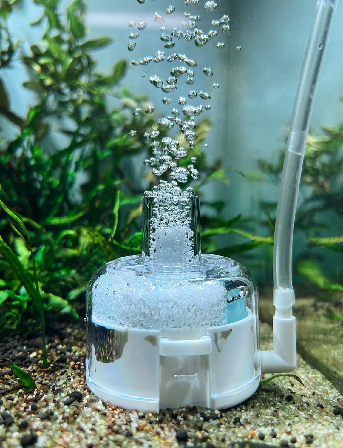 boxtech Mini Aquarium Sponge Filter，Internal Fish Tank Filter for 5-20L Fish Tank (No Include Pump and Tube)