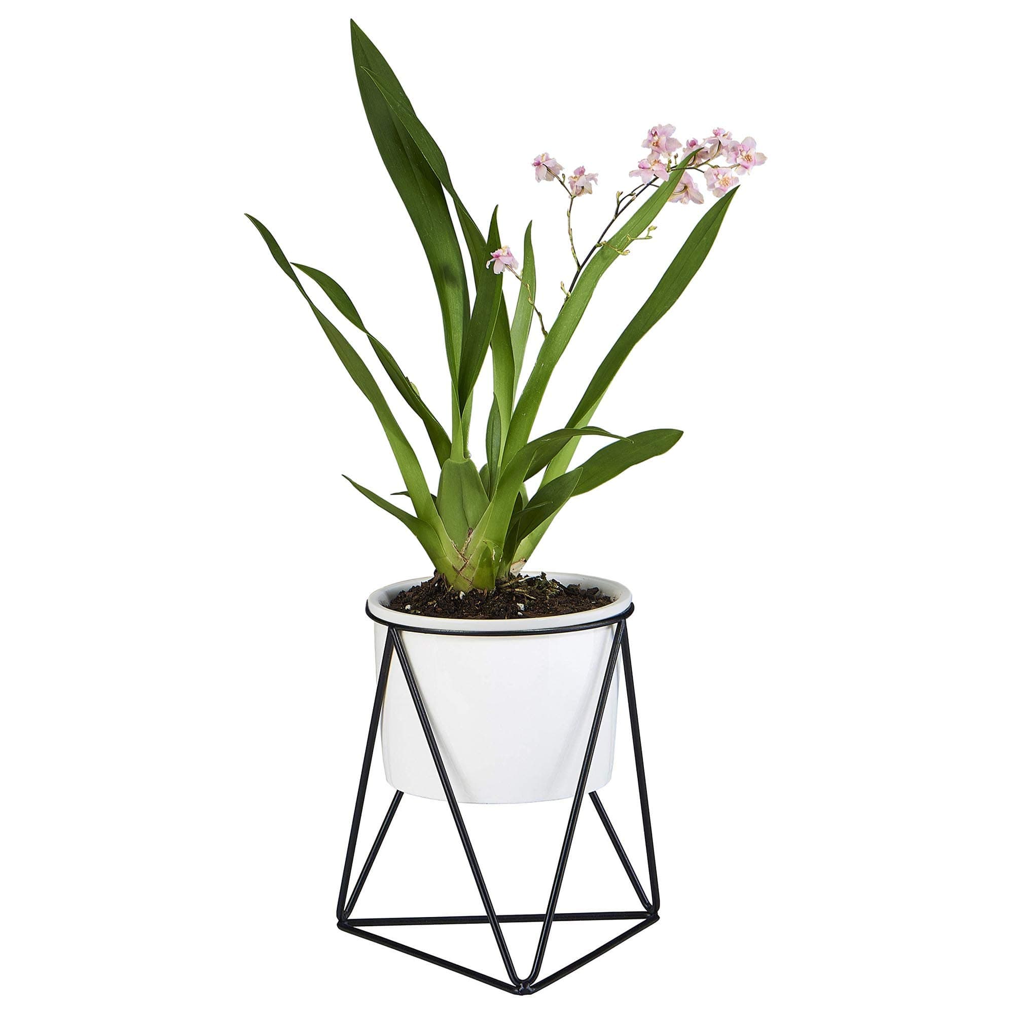 Planter Pot Indoor, Flowerplus 4.33 Inch White Ceramic Medium Succulent Cactus Flower Plant Round Bowl with Metal Stand Holder and Plants Sign for Indoors Outdoor Home Garden Kitchen Decor (Black)