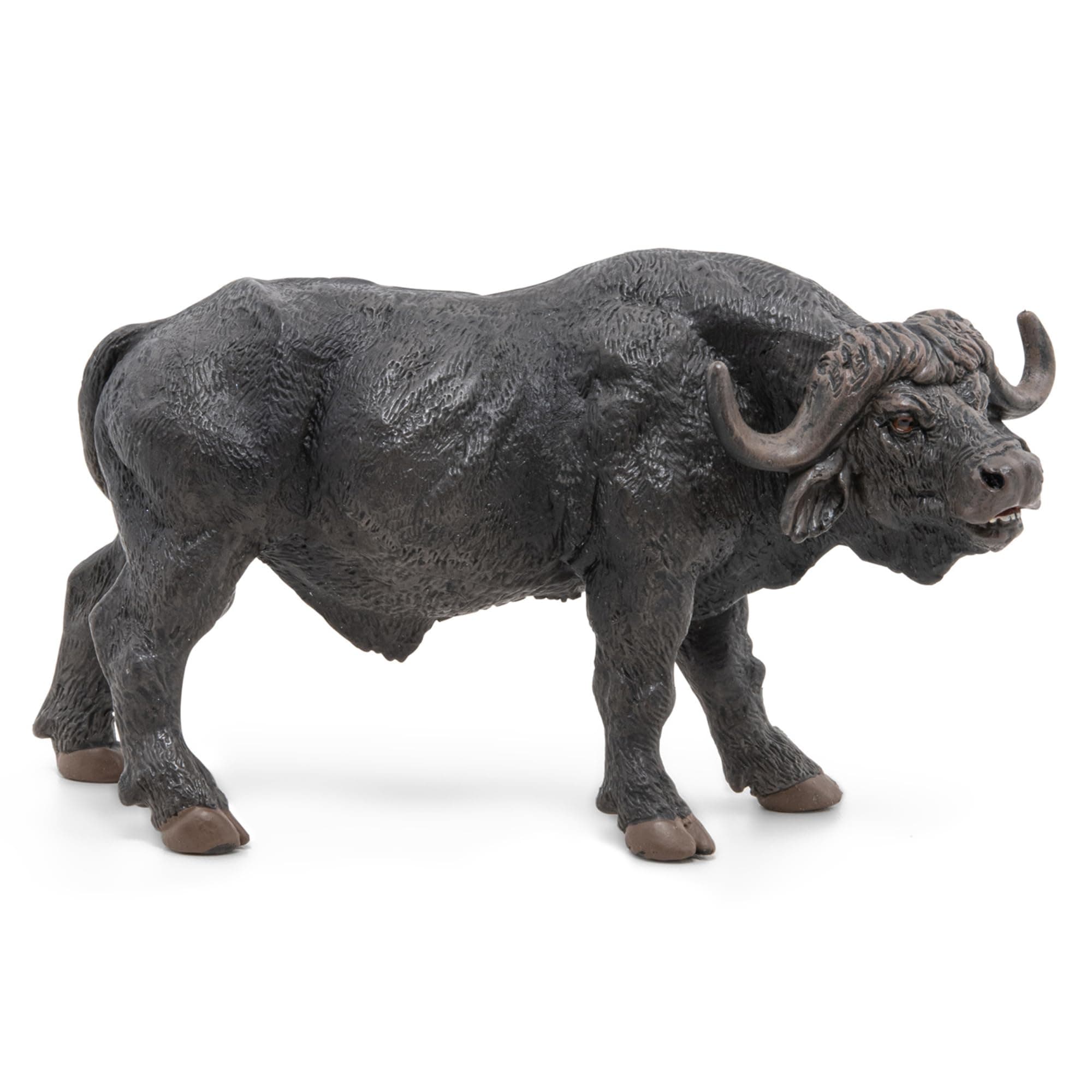 Papo - Realistic Buffalo Figure Toy for Kids - Ages 3+ - Wild Life Collection - Educational Play Savannah Wildlife - Gift Idea Toy for Girls and Boys - 12.7 Cm
