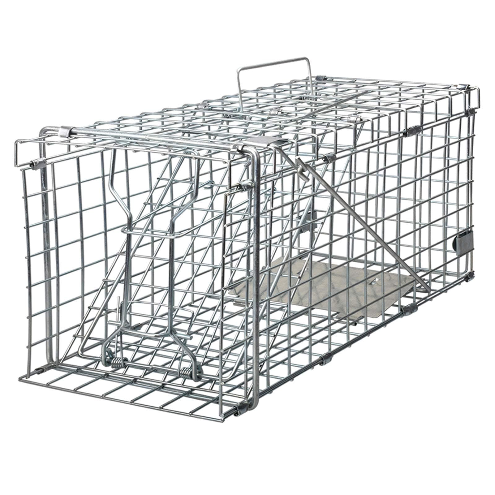 Gingbau Squirrel Trap Foldable Heavy Duty Humane Live Animal Cage Trap (Not for Mouse)