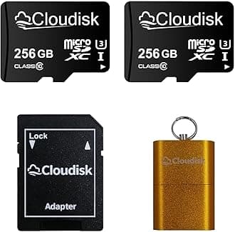 Pack of 2 Micro SD Card 256GB Flash Memory Card Micro SDXC C10, A2, U3, UHS-I (256GB)