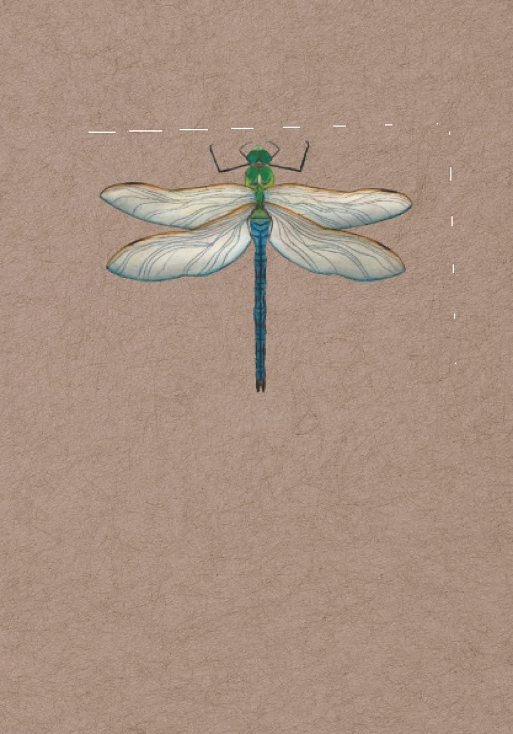 Dragonfly Notebook A5 – Cute Green And Blue Dragonfly Composition Lined Journal With Small Dragonfly On Every Page: Pretty Medium College Ruled Notebook With Watercolor Painting For Women And Girls