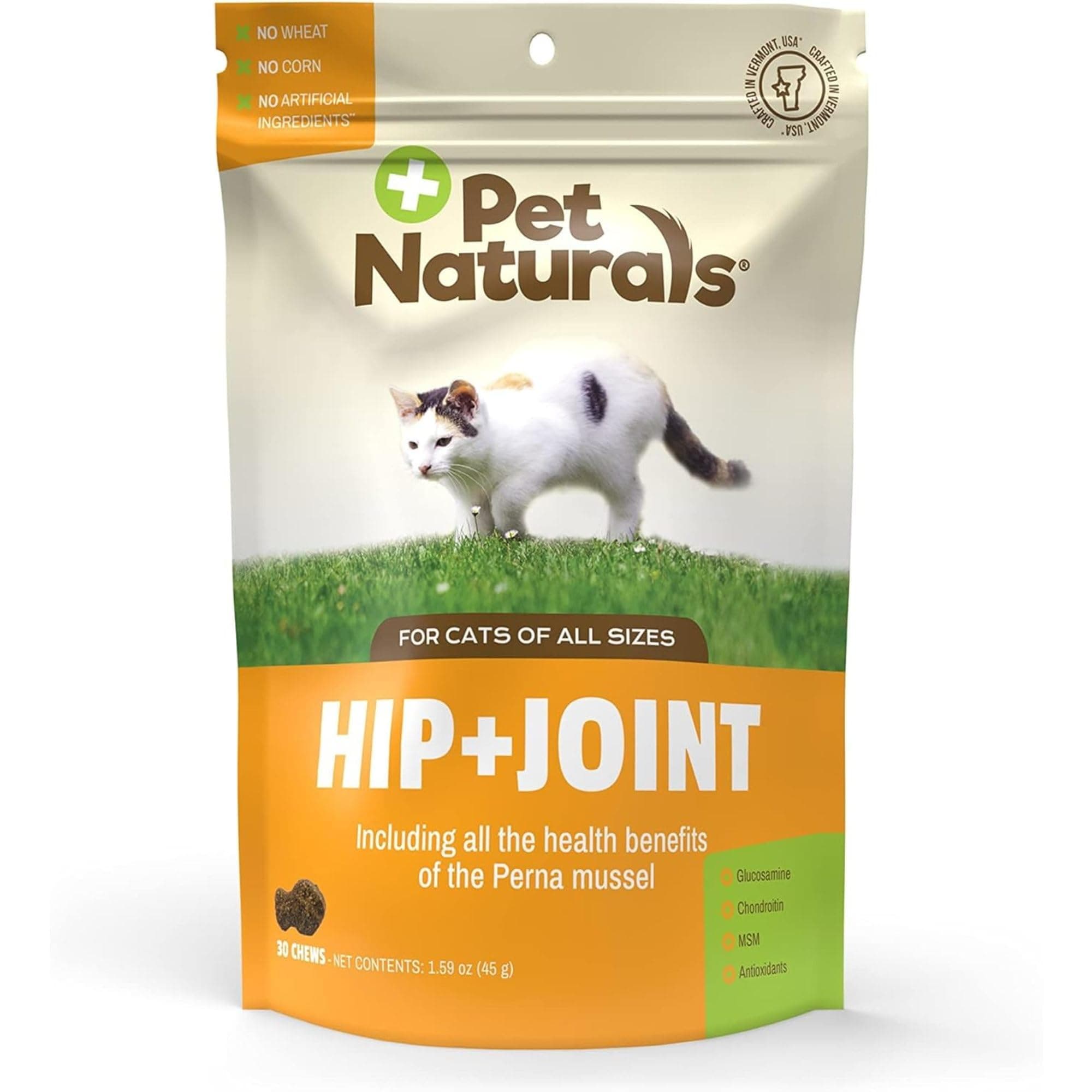 Hip+Joint