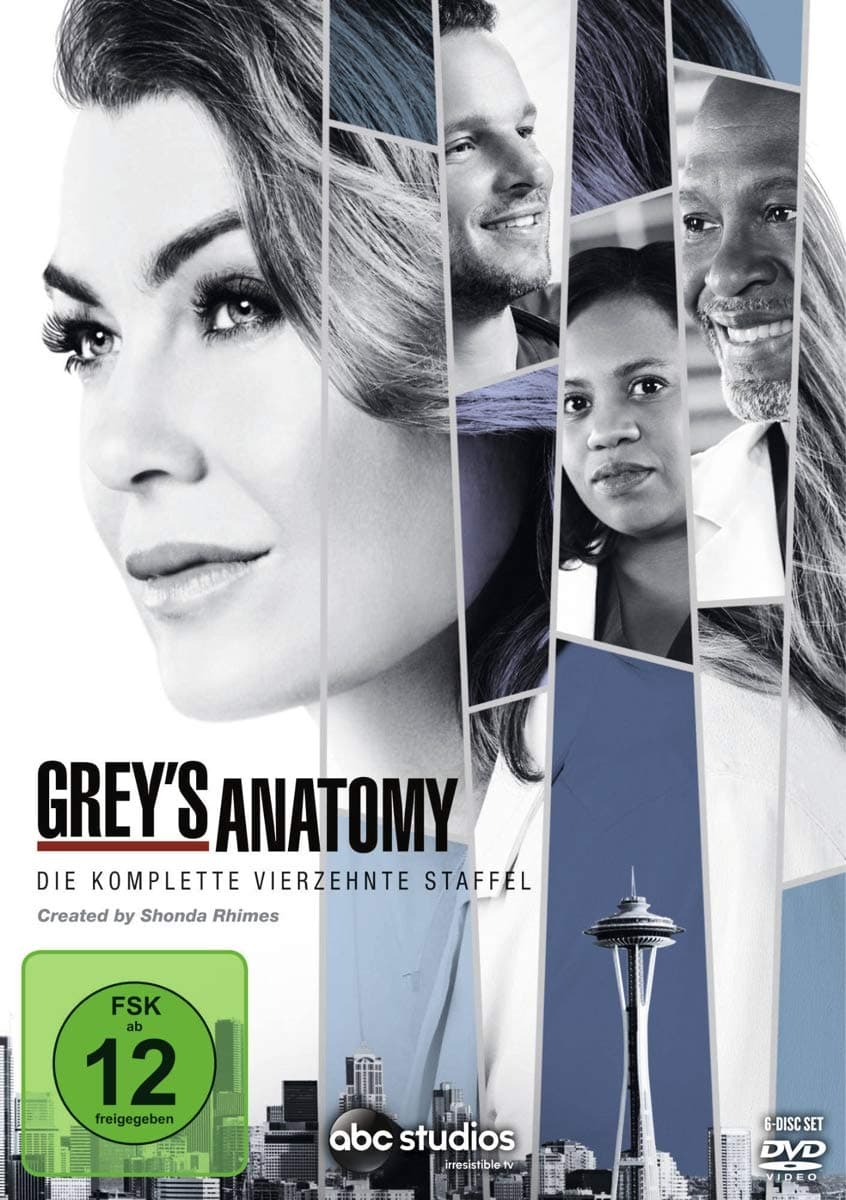 Grey'S Anatomy - Staffel 14 [DVD]