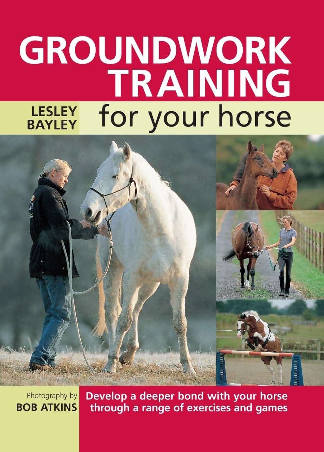 Groundwork Training for Your Horse: Develop a Deeper Bond with Your Horse Through a Range of Exercises and Games Paperback – 27 April 2007