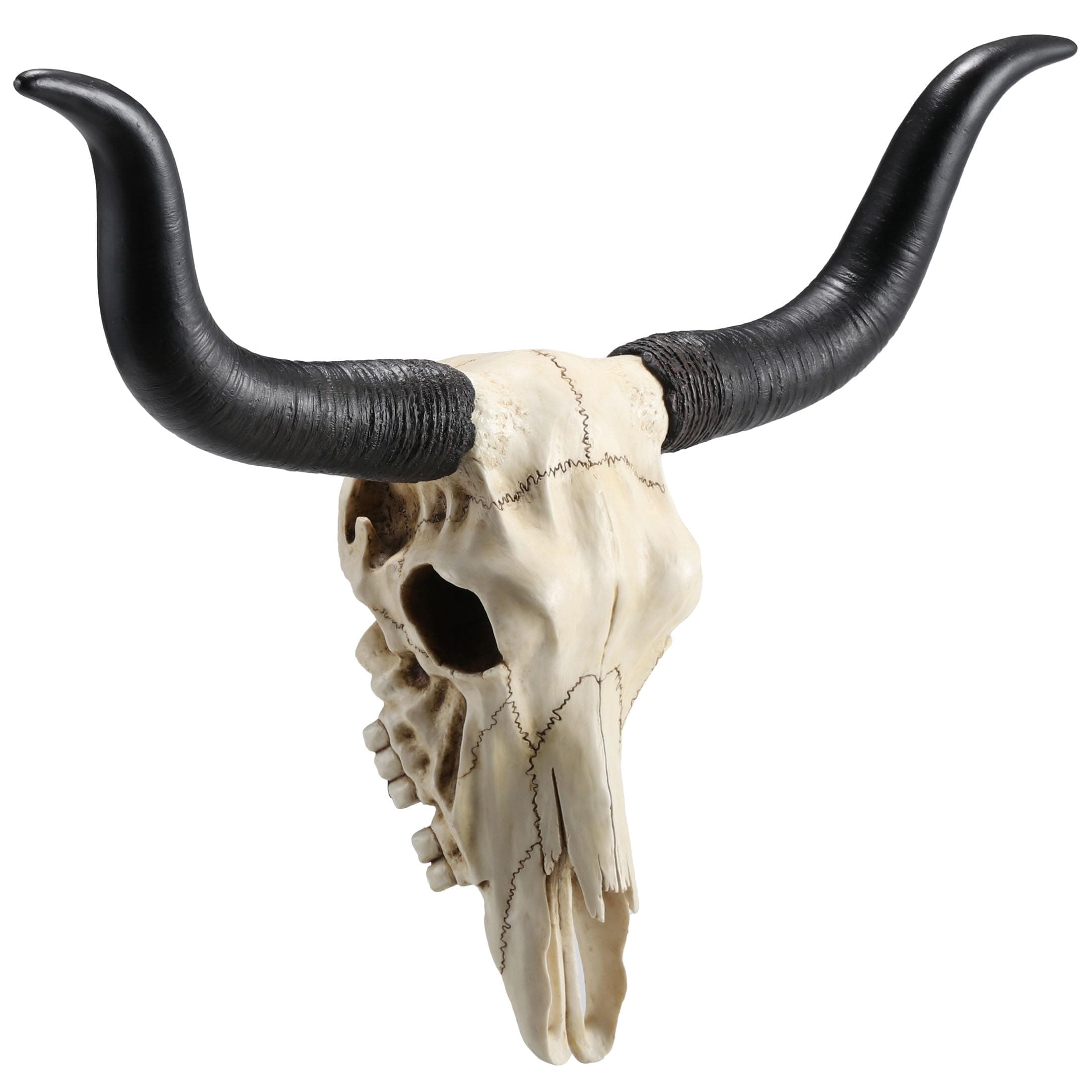 Veronese Design 14インチ長角アニマルスカル樹脂壁彫刻