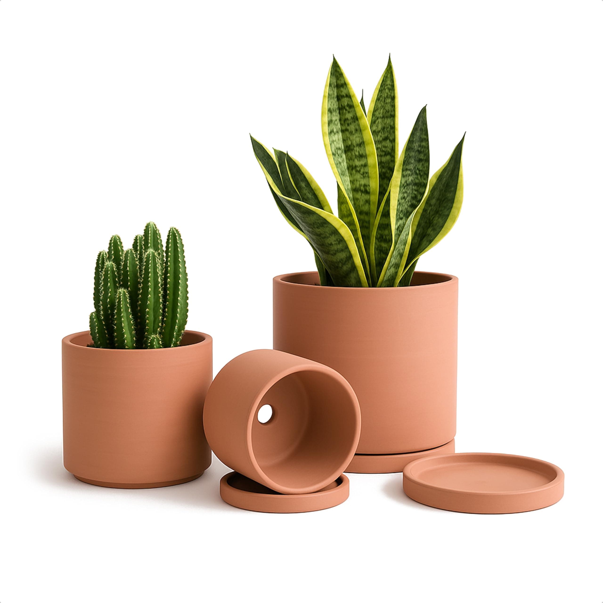 D'vine Dev Terracotta Pots for Plants, 4.2 Inch 5.3 Inch 6.5 Inch, Succulent Planter Pot with Drainage and Saucer, 40-A-T-1