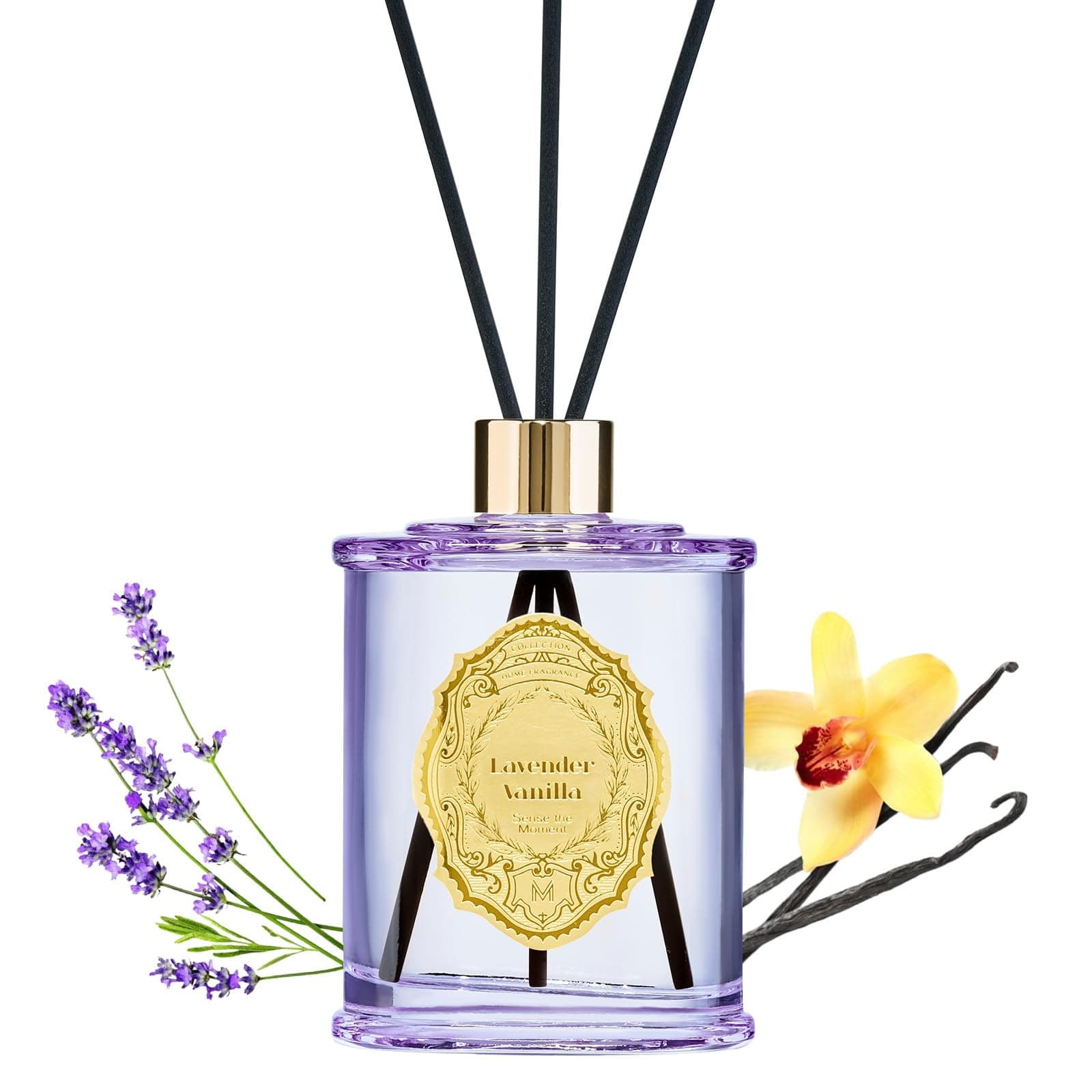 M&SENSE 8.4 oz Large Reed Diffuser for Home | Lavender Vanilla Scent Oil Diffuser with Sticks | Bedroom Bathroom Living Room Decor
