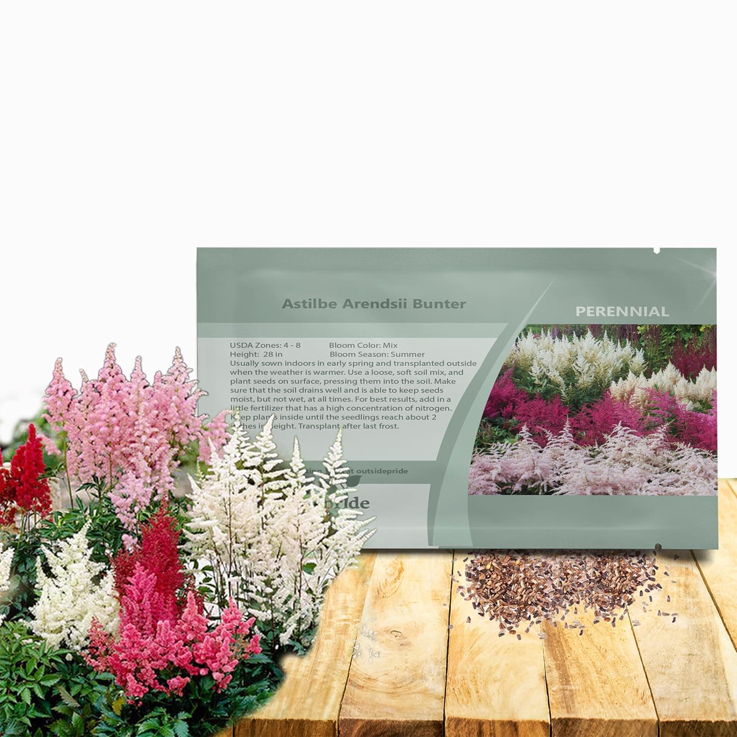 Astilbe Arendsii Bunter Flower Seeds