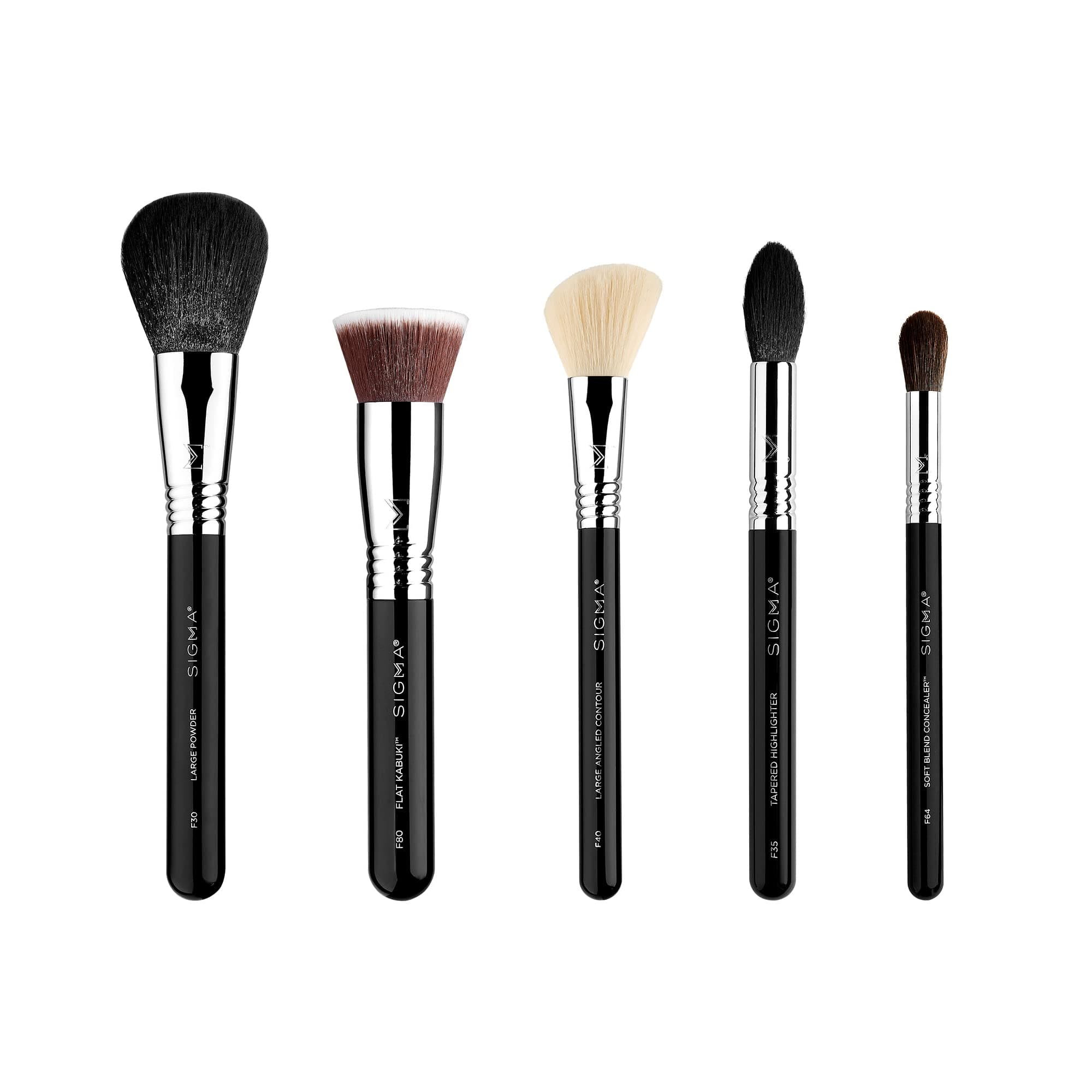 Makeup Brush Set – Set of 5 Classic Makeup Brushes for Full Face, Professional Makeup Brushes for Foundation, Concealer, Blush/Powder, Contour, and Highlight (5 pcs)