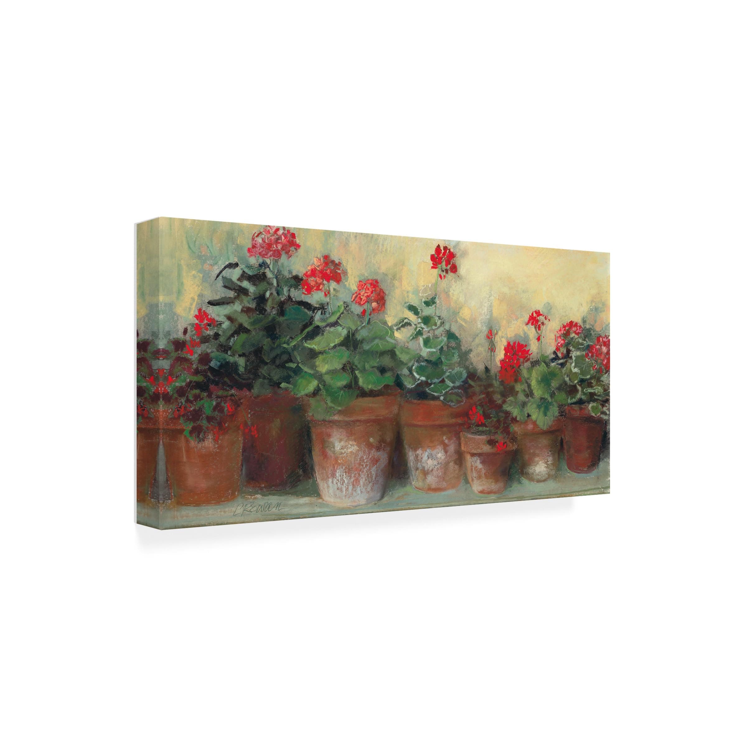 Carol Rowan Kathleens Geraniums Canvas Art