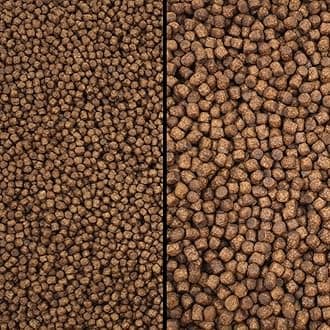 Koi Growth Pellets Floating - Pond Fish Food Carp Goldfish Coldwater Chub Grower (Small Pellet Size (3mm), 1kg)