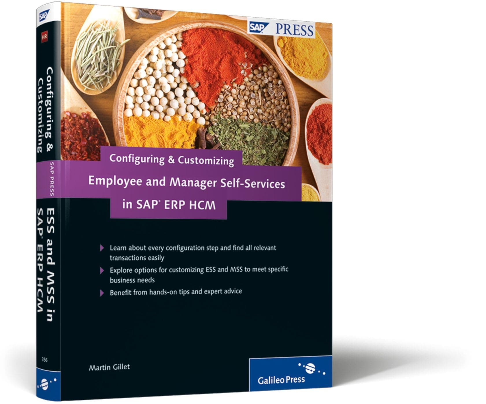 Configuring and Customizing Employee and Manager Self-services in Sap Erp Hcm Hardcover – April 28, 2011