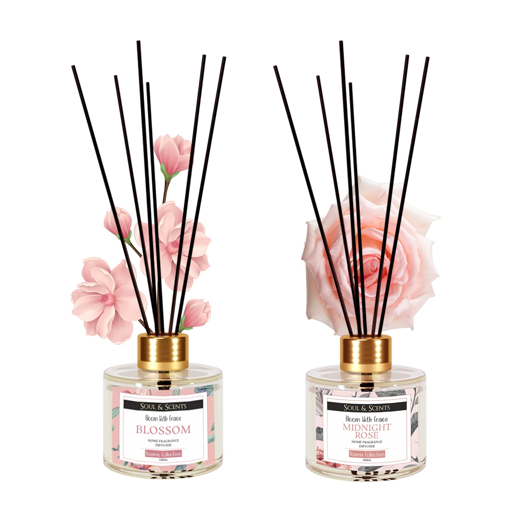 Soul & Scents Midnight Rose & Blossom Reed Diffusers Set for Home/Office/Gym/Yoga Fragrance | Aromatherapy | Mood Enhancer (Combo Pack) (RD_Combo10, Gold)