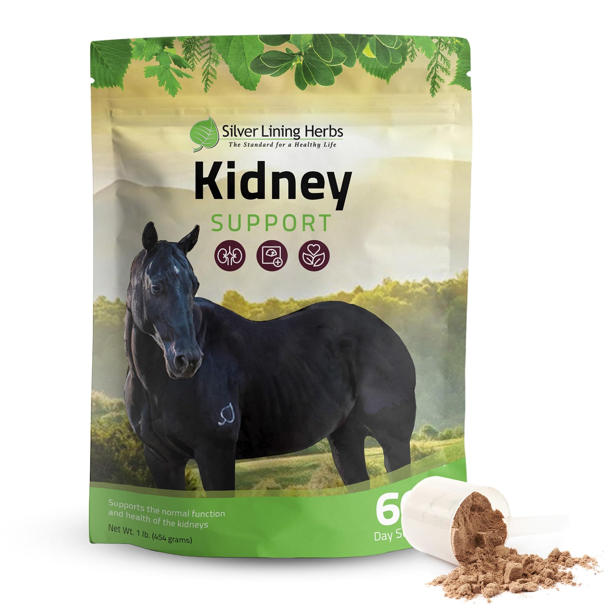 Herbal Equine 37 Kidney Support