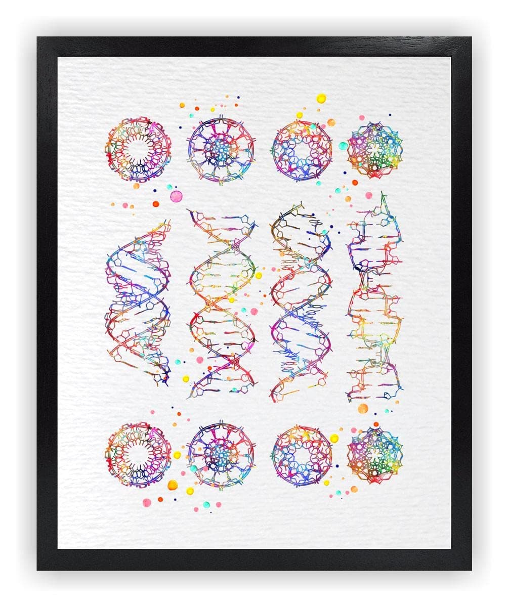 Dignovel Studios 11X14 Unframed DNA Helix Molecule A-B-C-Z Watercolor Art Print Medical Science Genetic Doctor Laboratory Biology Home Office Wall Hanging Poster DN682